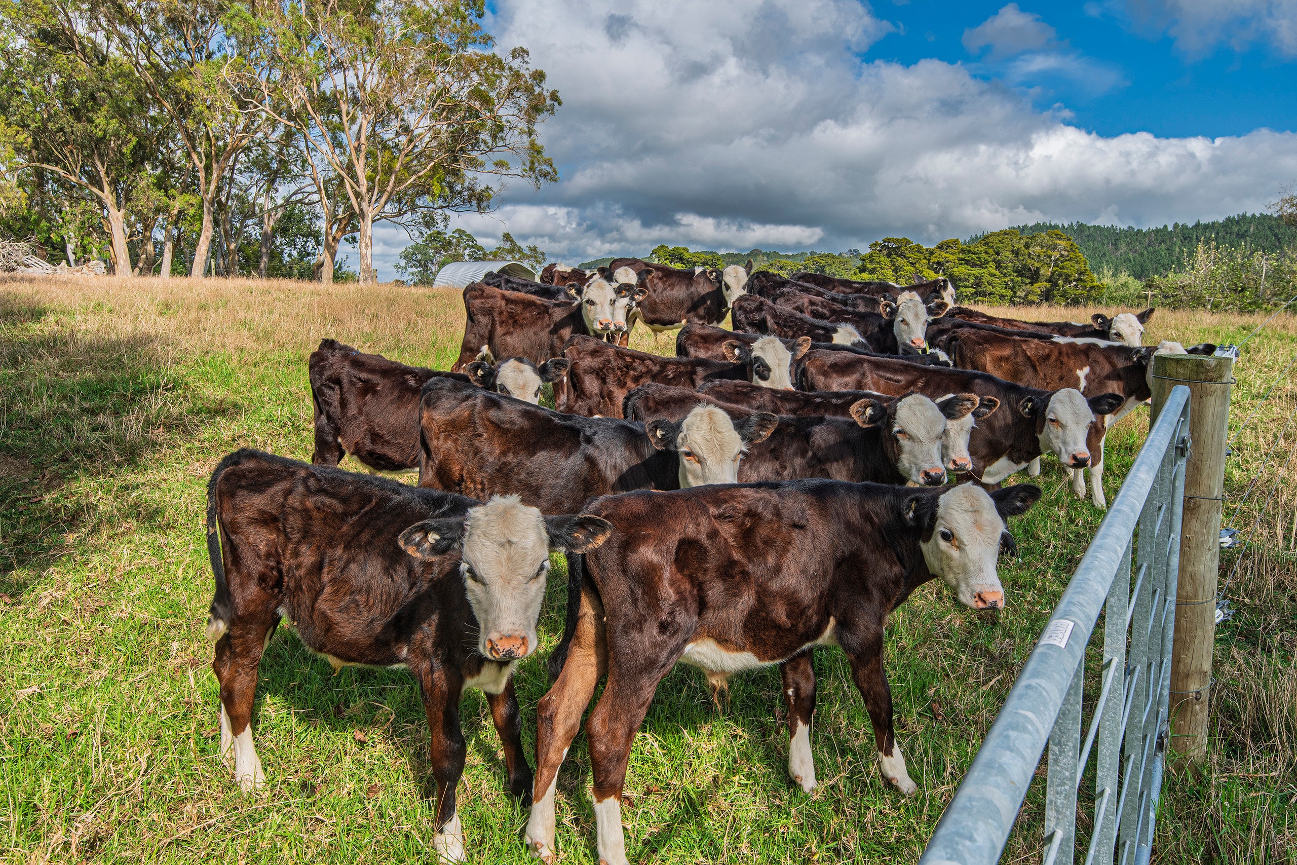 85-87 Old North Road, Whakapara, Whangarei District