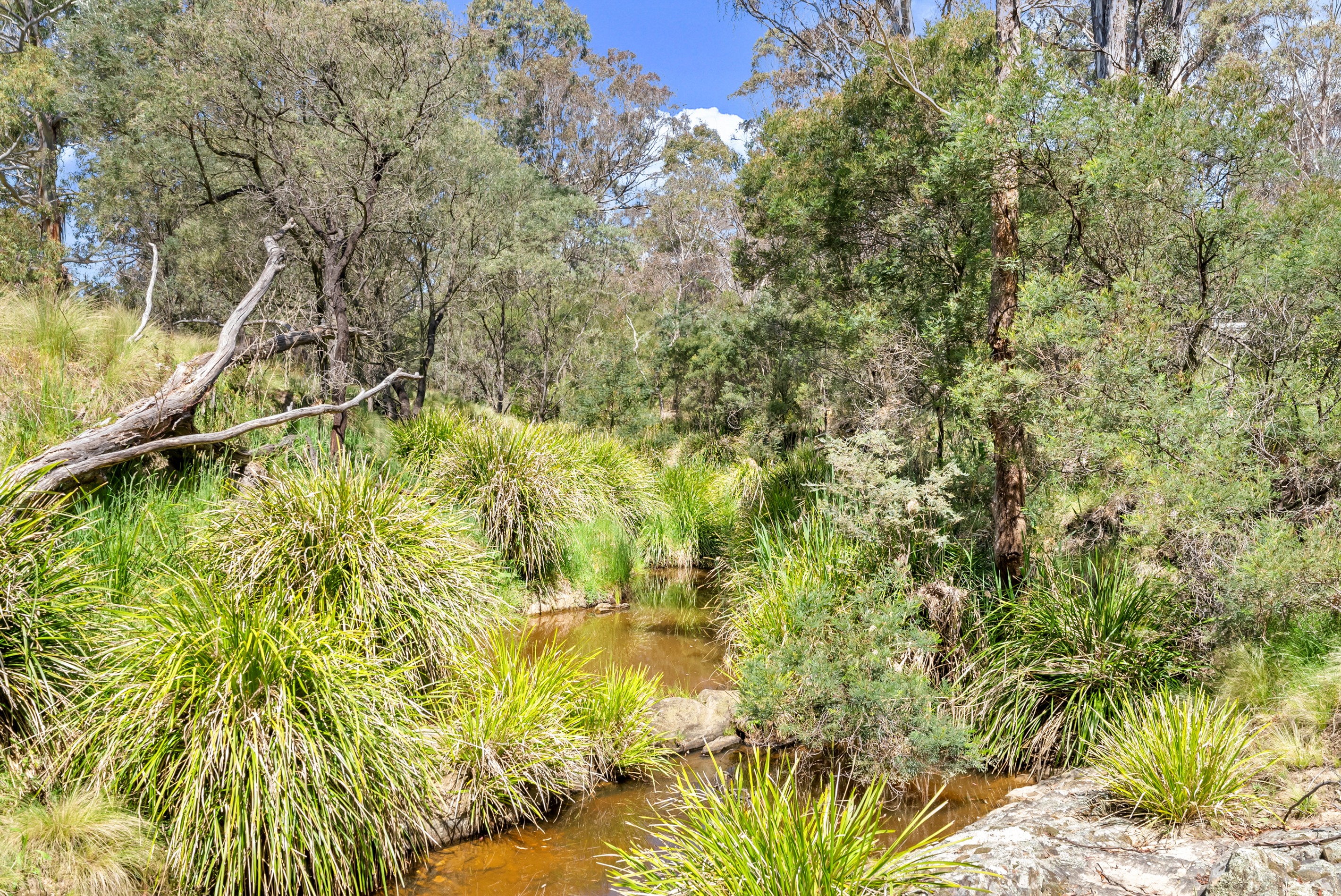 925 Marked Tree Road, Gundaroo, NSW 2620