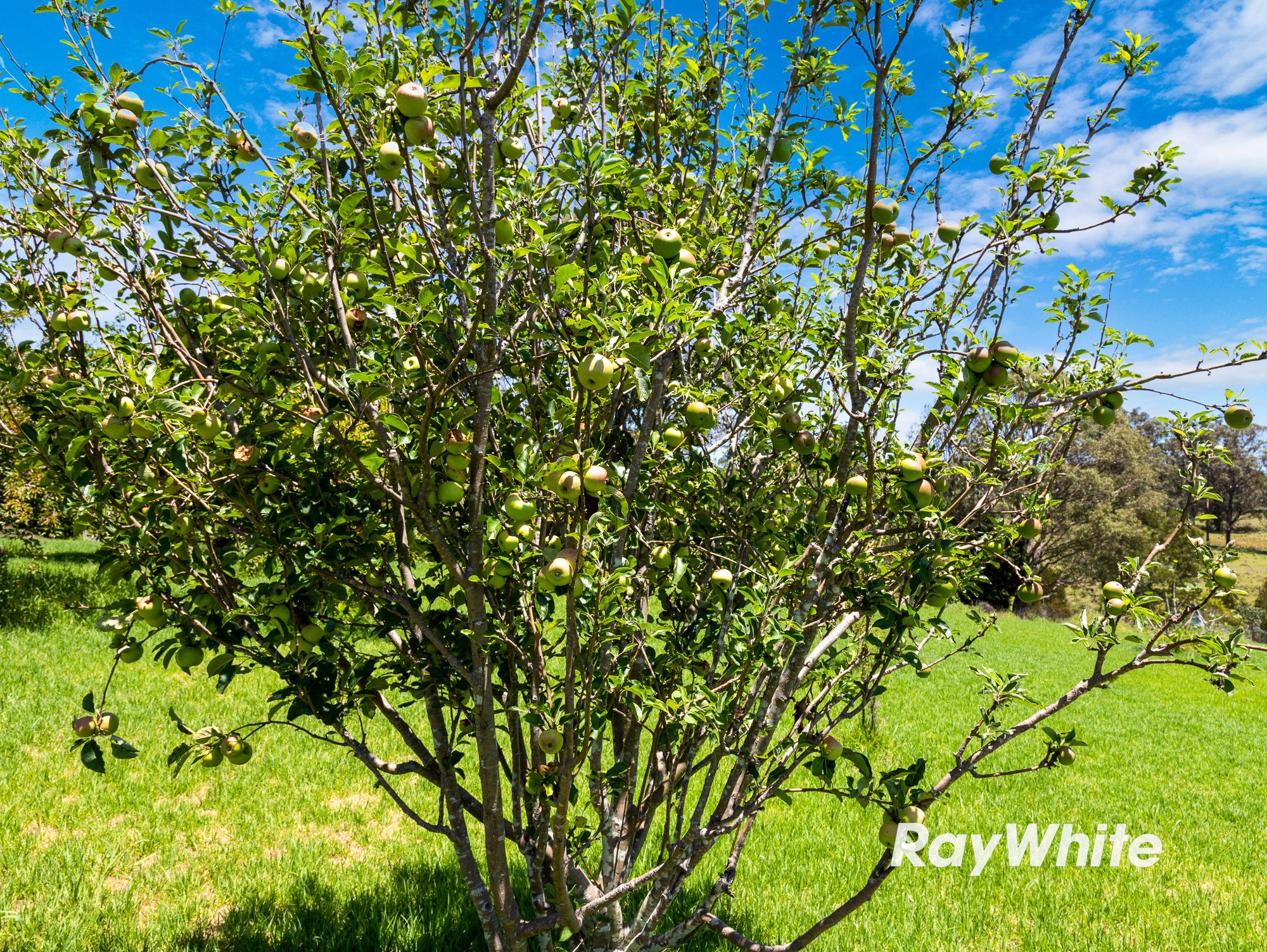 4070 Princes Highway — photo 14 of 21
