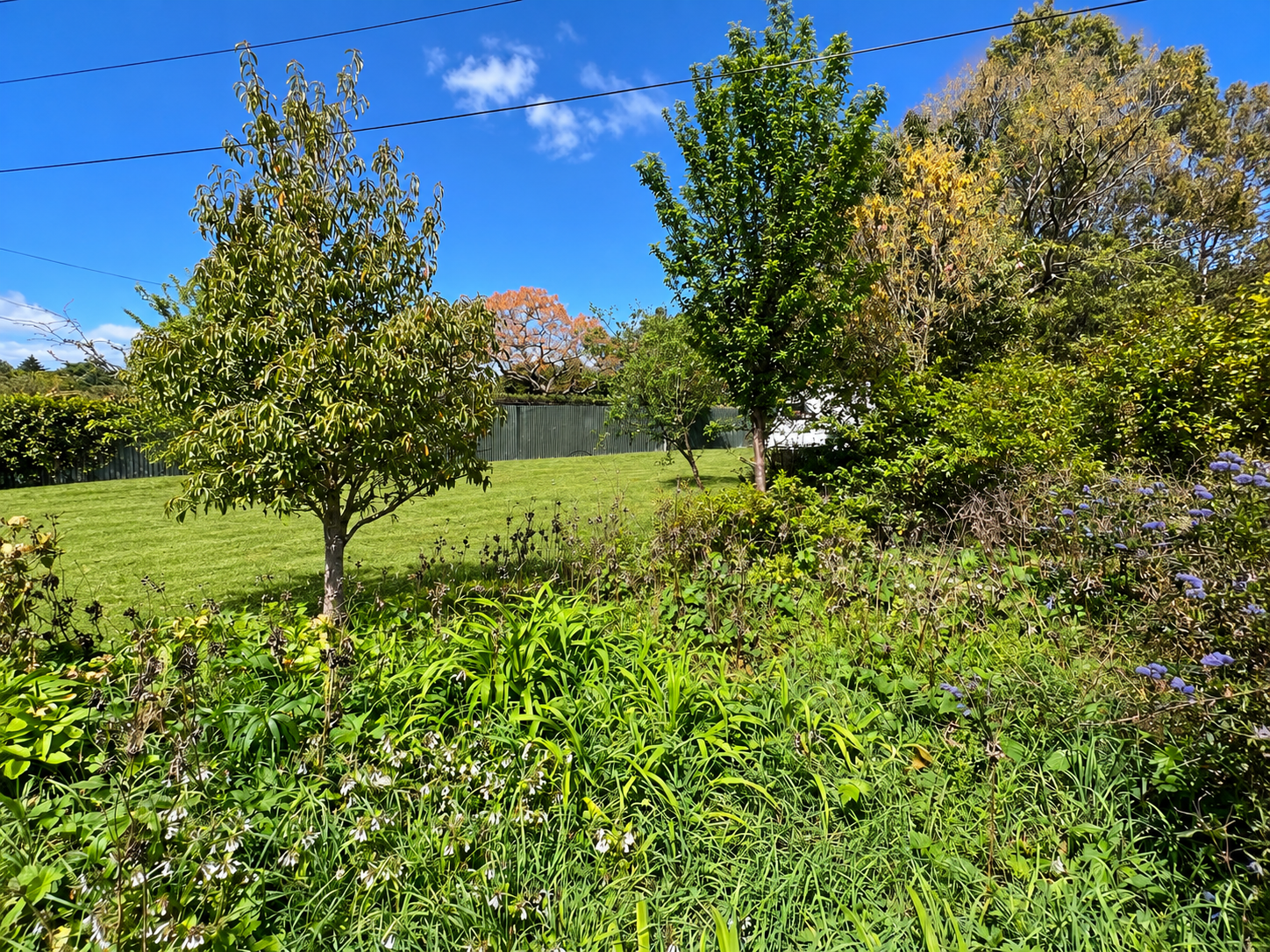 Photo 10 of 87 Opaki Road, Lansdowne, Masterton