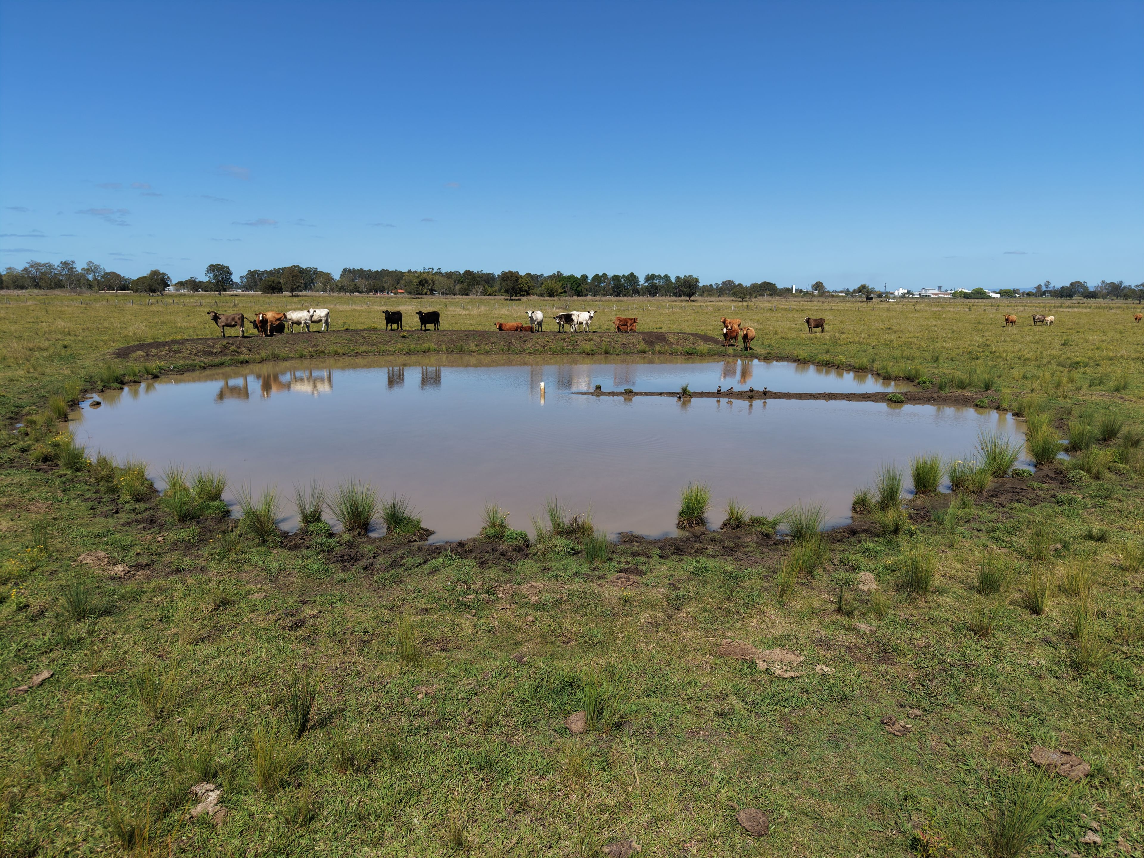 97 Naughtons Gap Road — photo 8 of 17