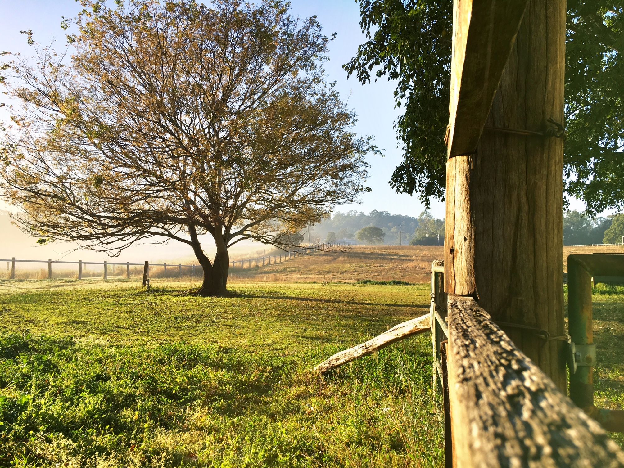 142 fielding road, vernor, qld 4306 - sold rural property