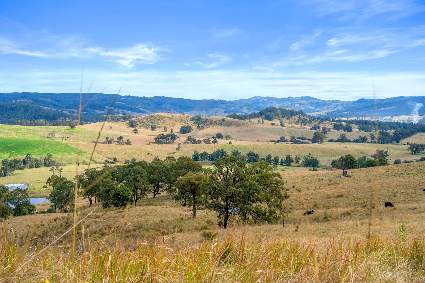 Lot 193/DP752501 Welshmans Creek Road, Wallarobba, NSW 2420