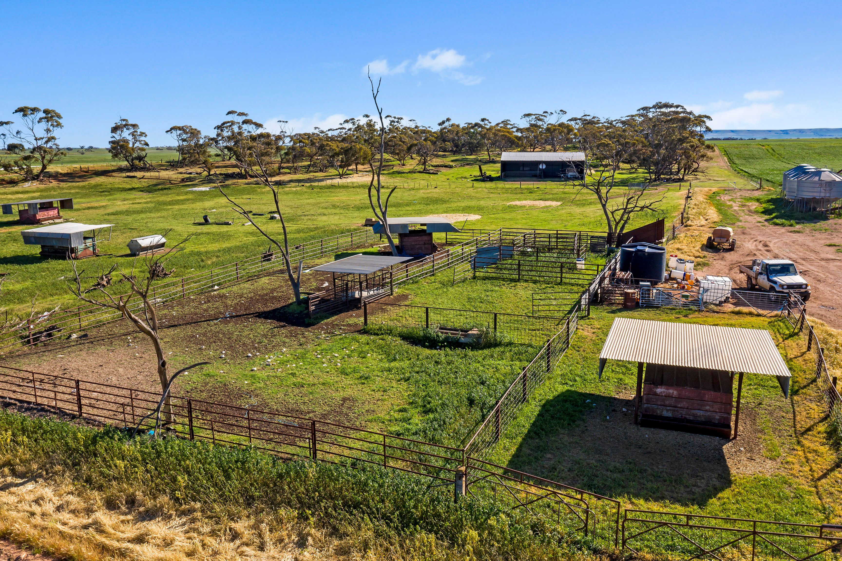 'Standpipe' Wanappe Road, Halbury, SA 5461 Sold Rural Cropping