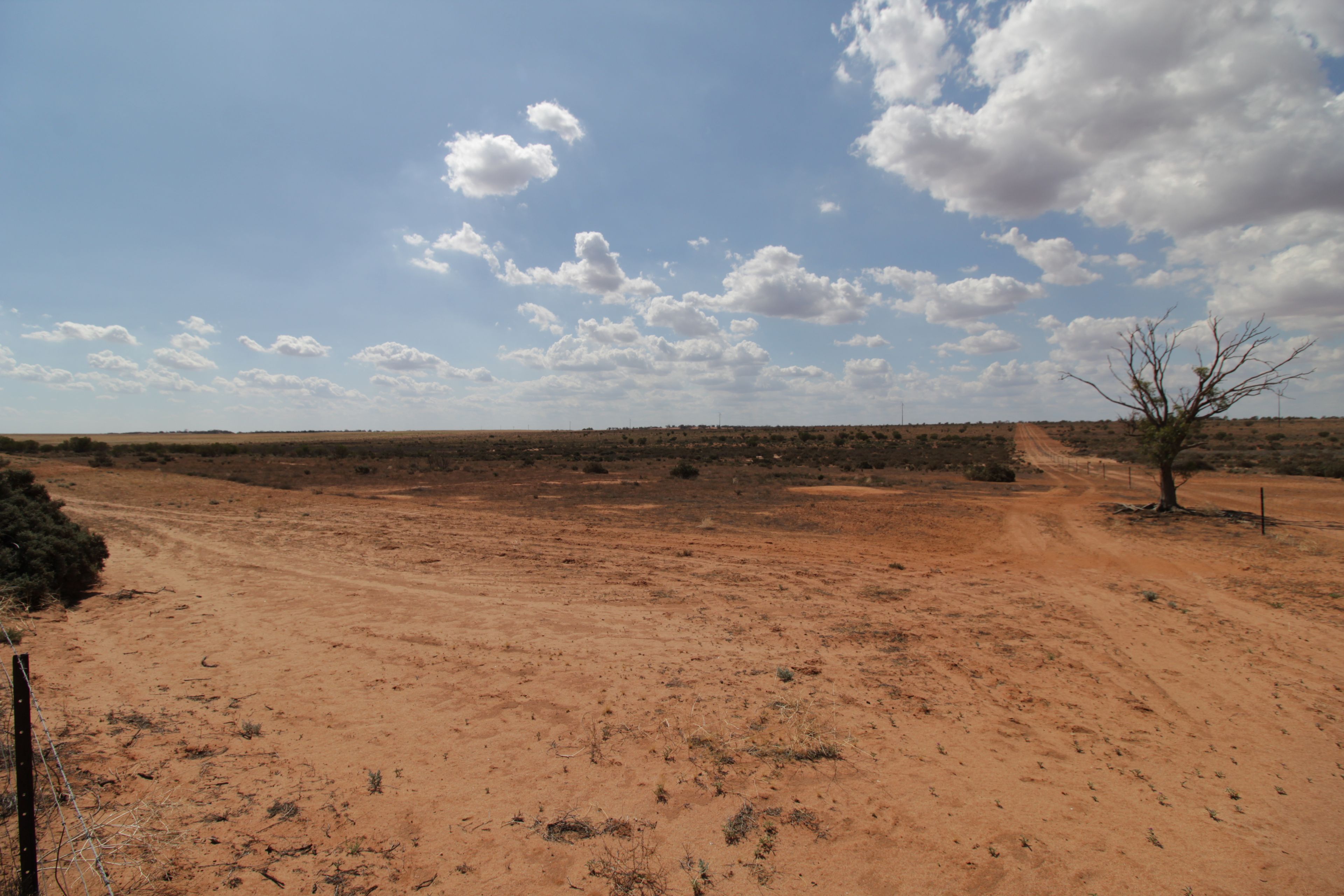 Lot 50/718 Queen Elizabeth Drive, Barmera, SA 5345