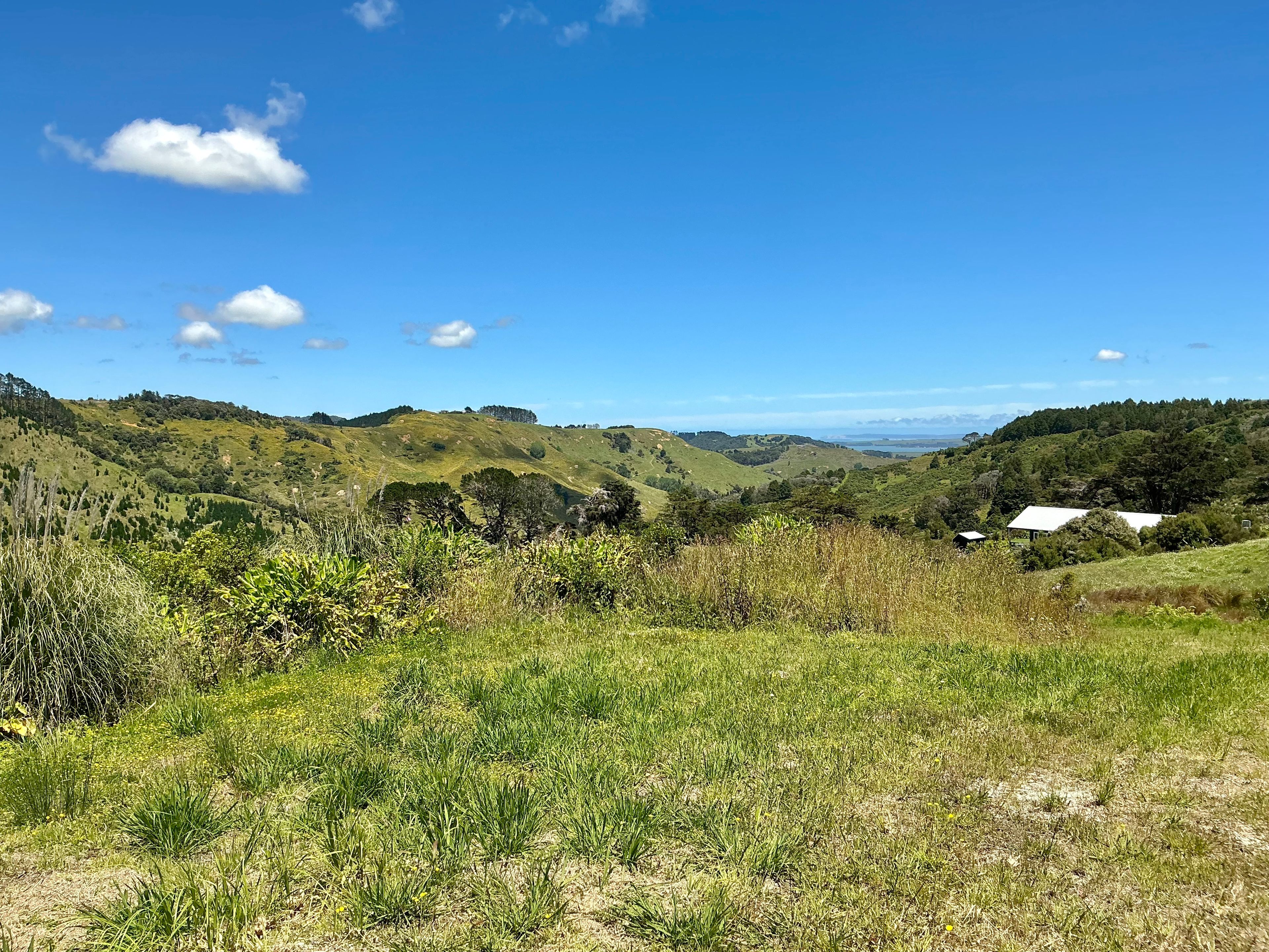 Lot 2 & 4 DP558999 & DP560071 Dill Road, Kaipara Flats, Rodney