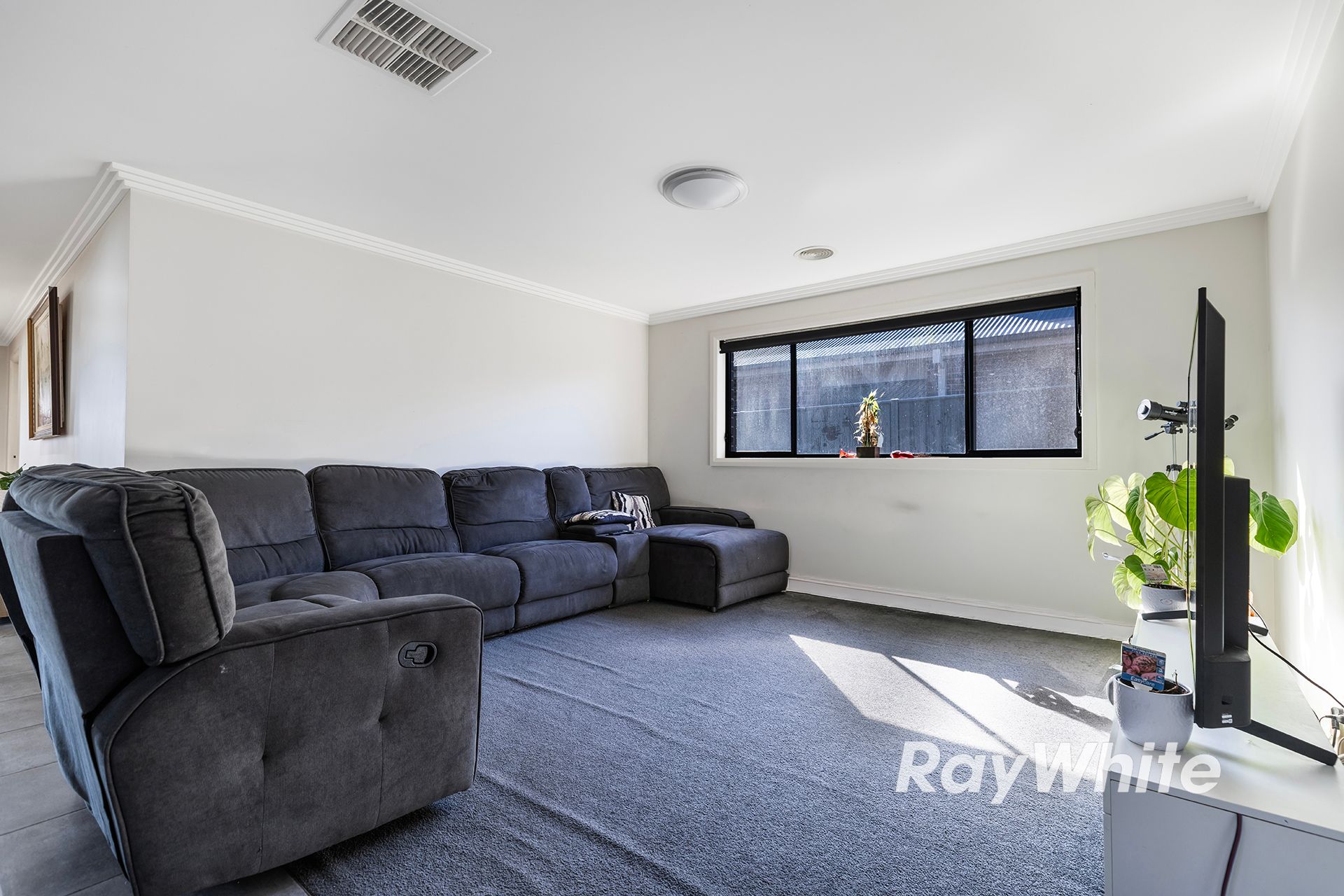 2 Daisy Street — photo 6 of 24