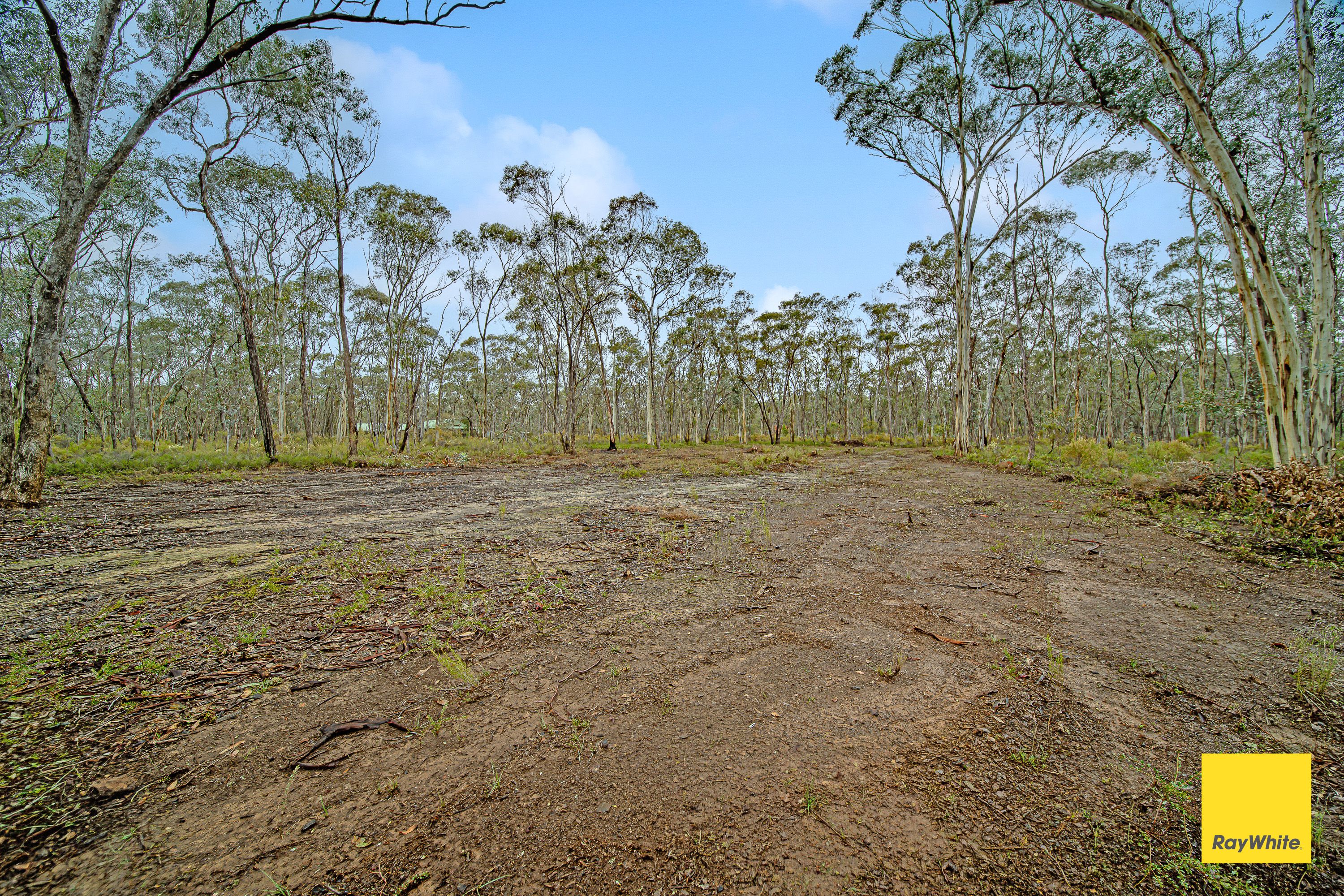 50 Melaleuca Avenue — photo 3 of 9