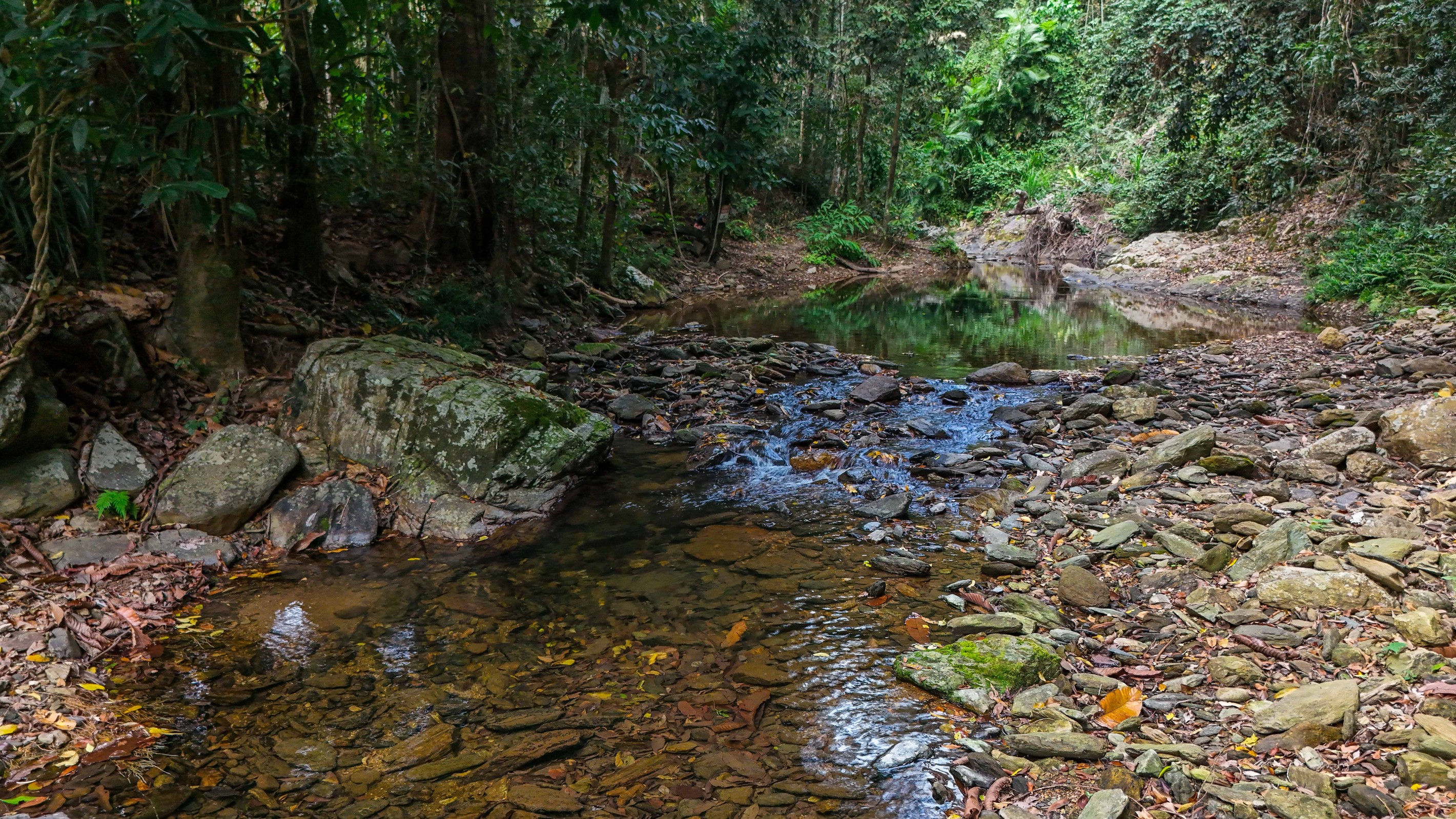 50-52 Cascades Drive, Redlynch, QLD 4870