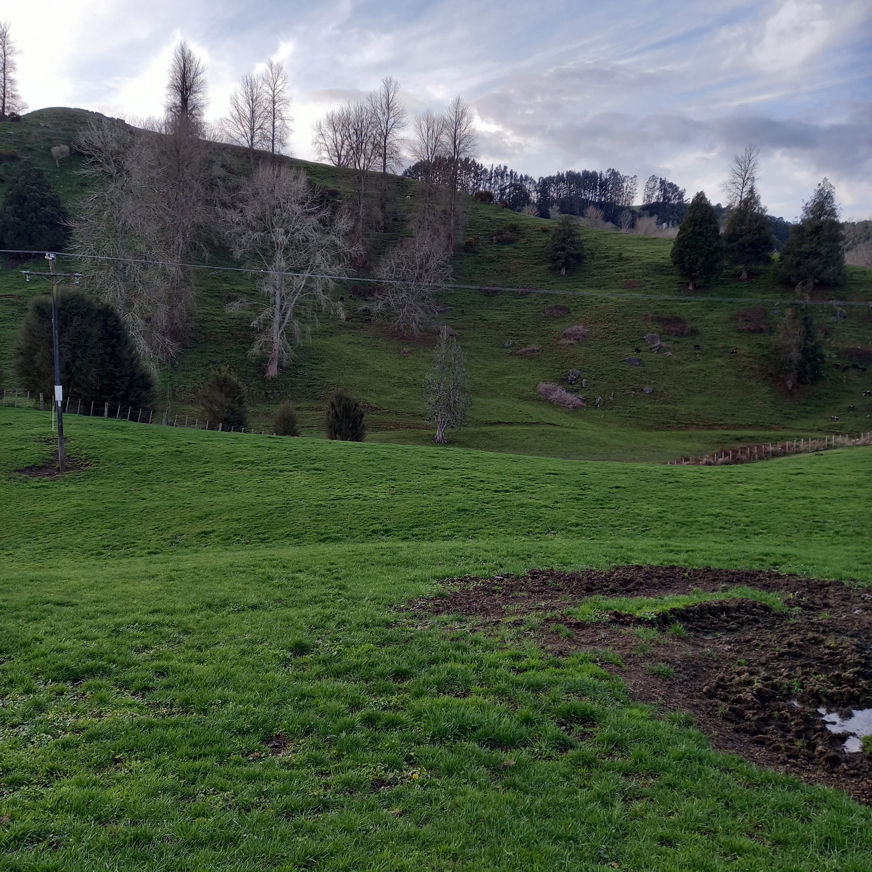 Lot 1, 627 Waitomo Valley Road, Otorohanga, Otorohanga District