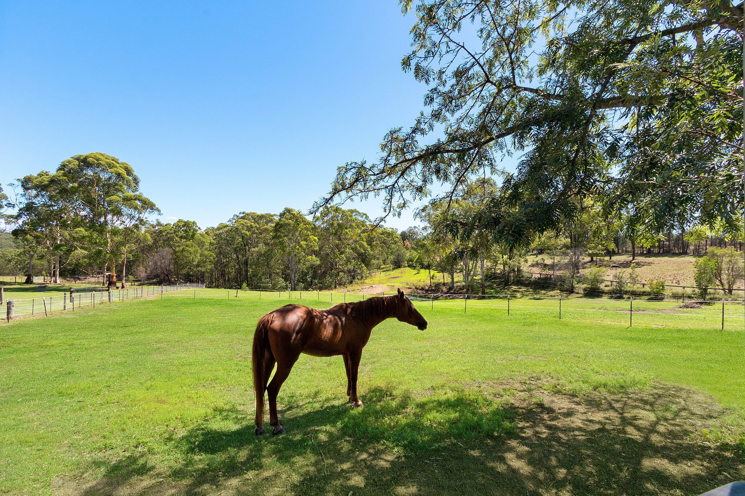 407 East Kurrajong Road, East Kurrajong, NSW 2758
