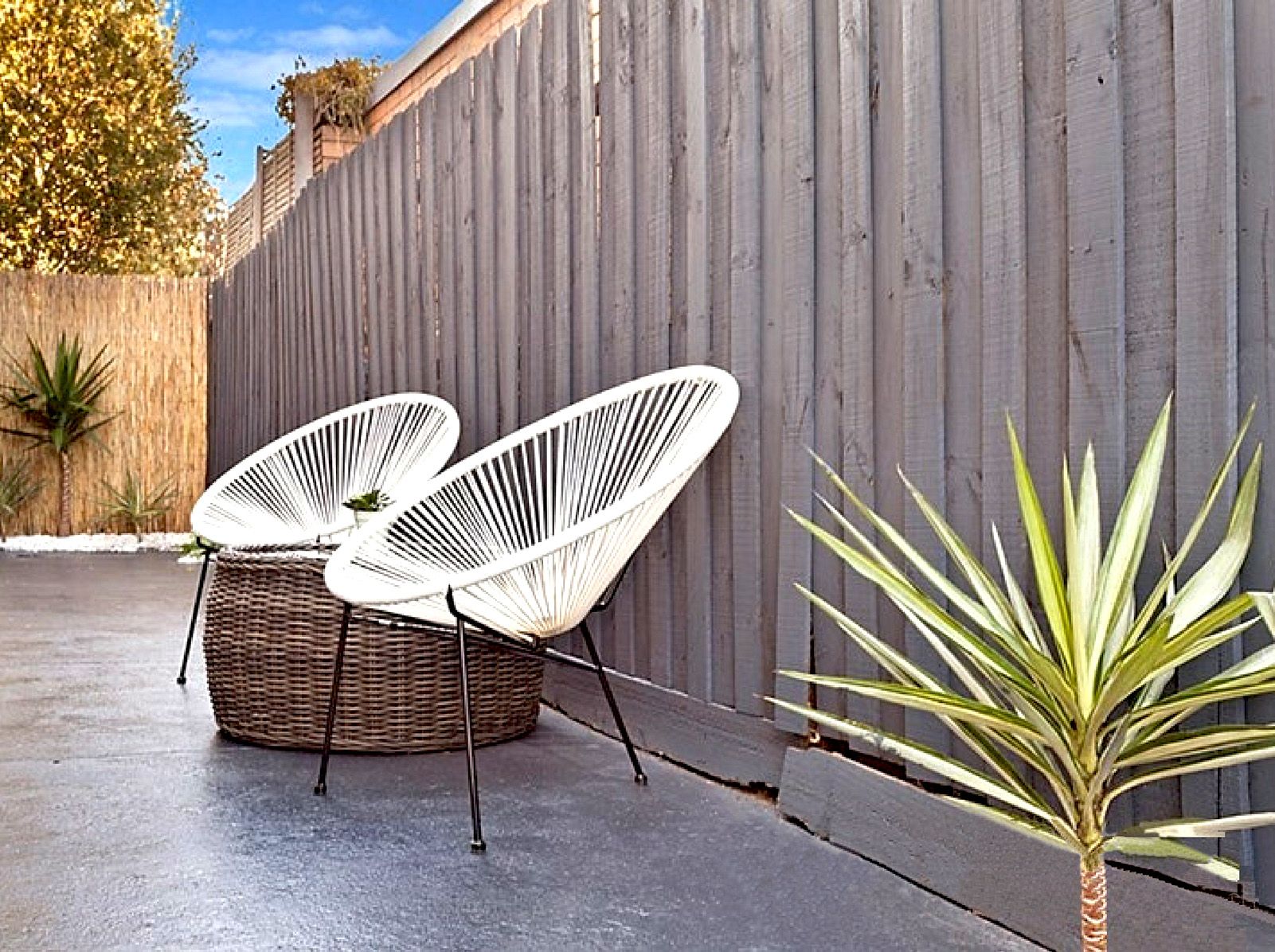 5/49 Wilson Street, Cheltenham, VIC 3192