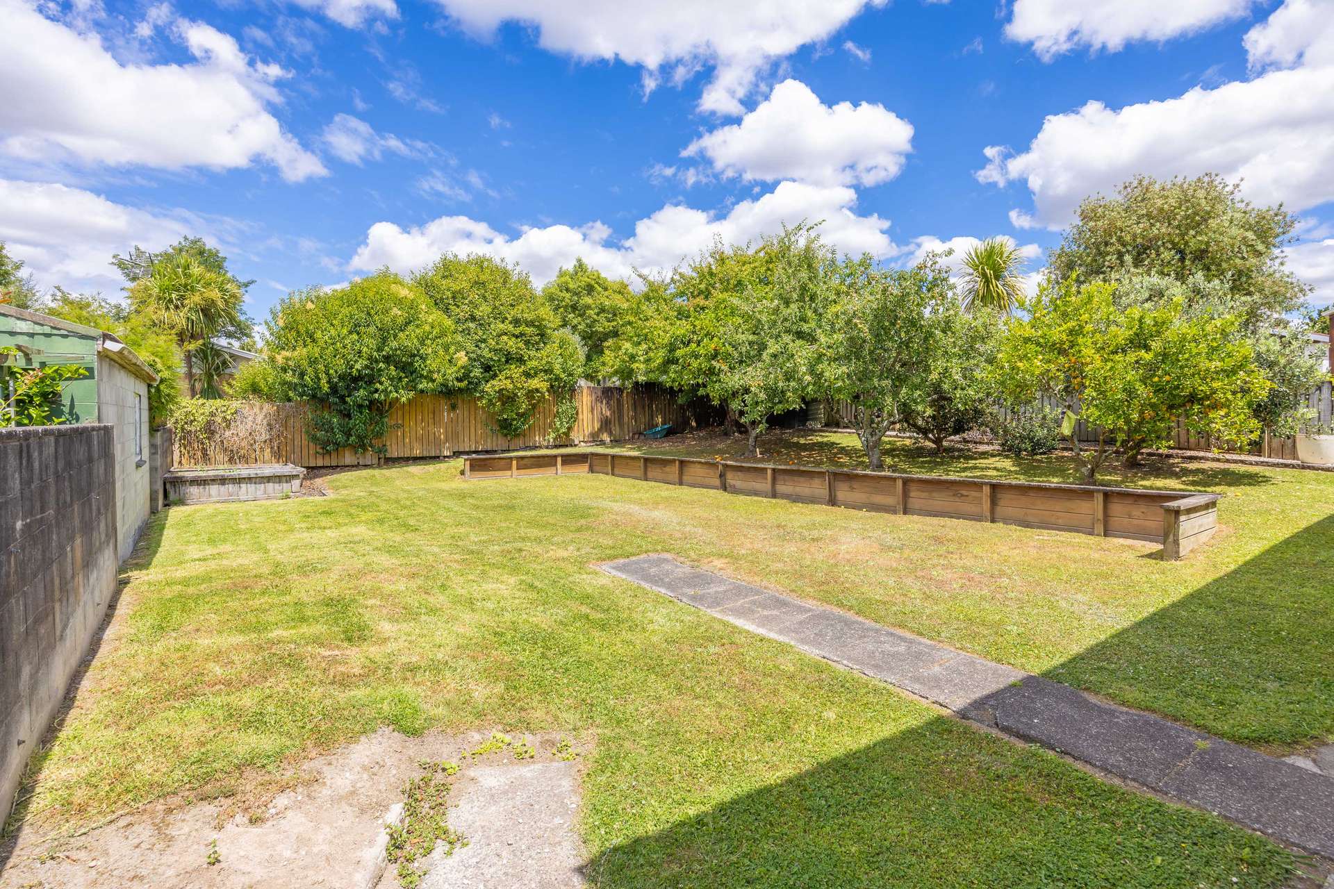 31 Mitcham Avenue photo 24