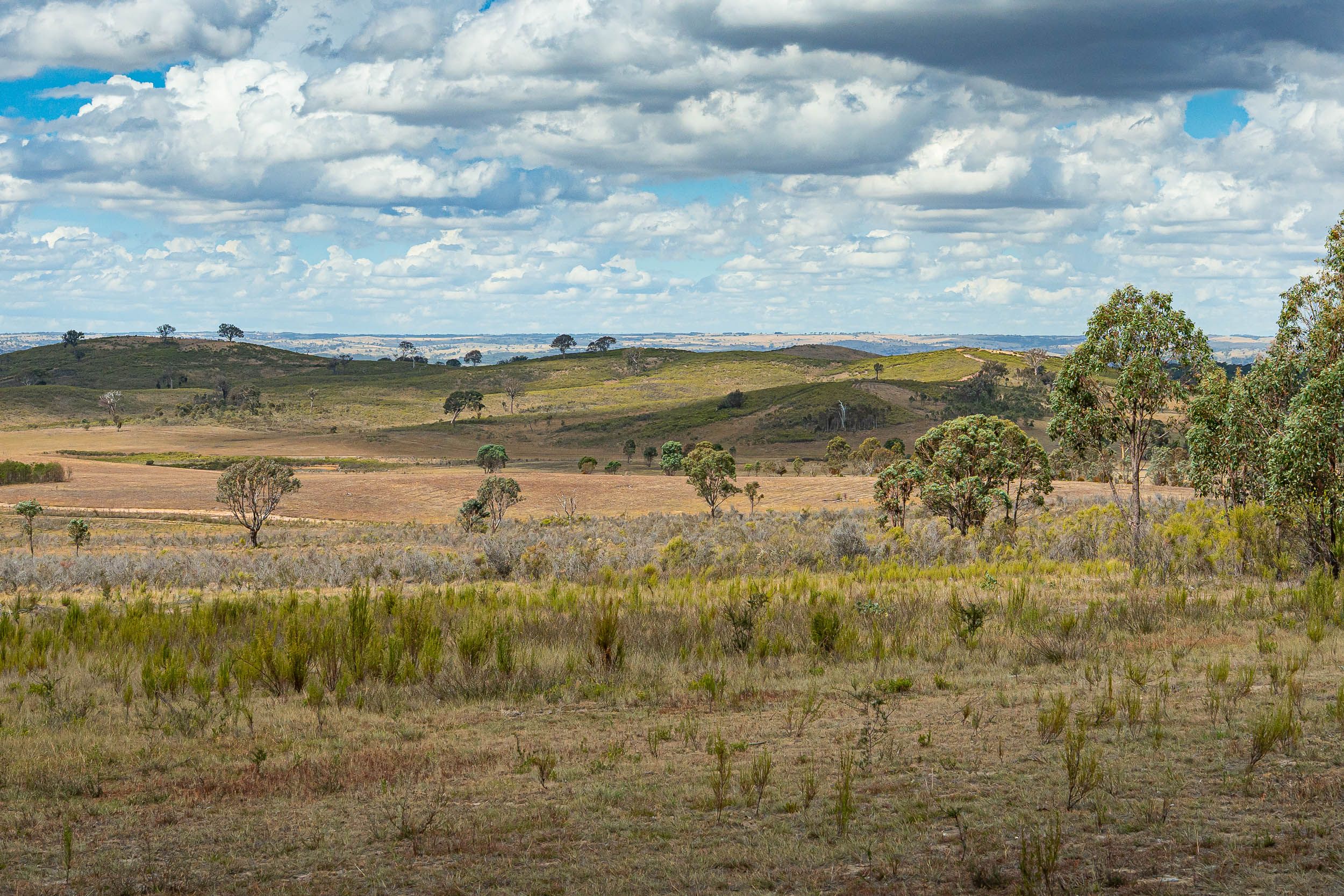 Lot 75 Maryvale Road Bevendale Via — photo 6 of 10
