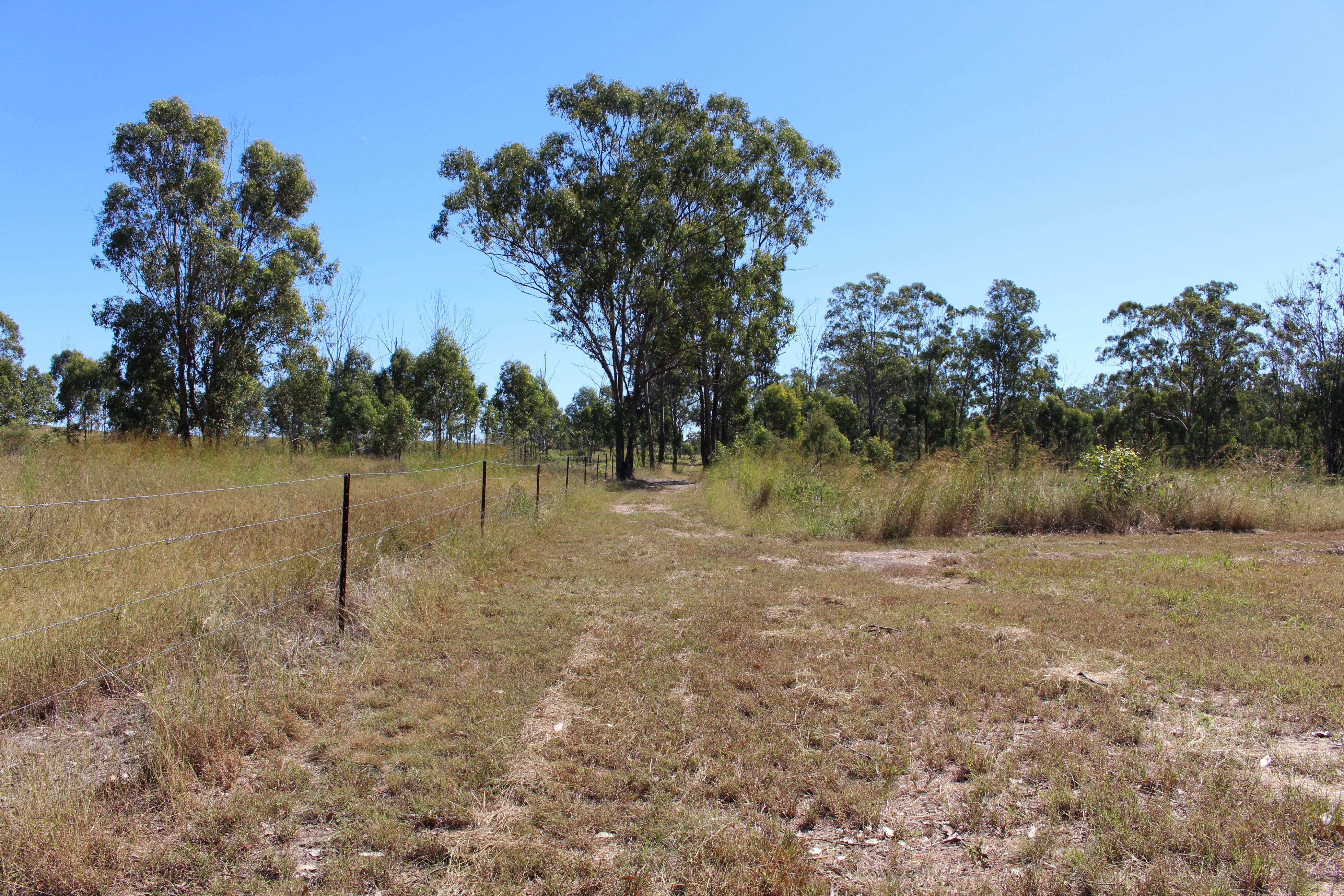 53821 Bruce Highway — photo 9 of 25