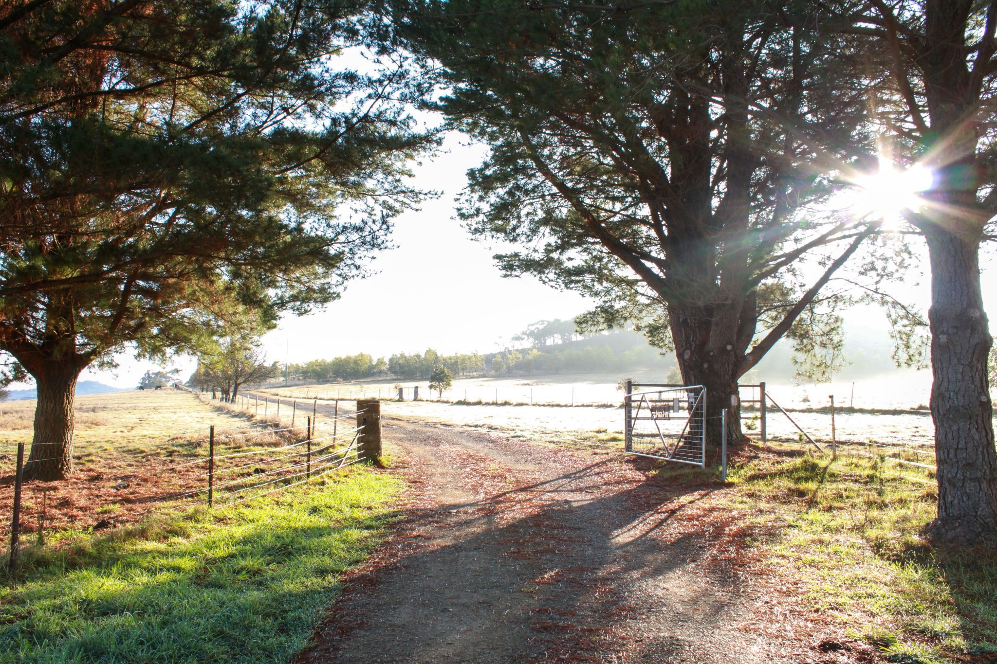 2321 Rugby Road, Rugby, NSW 2583