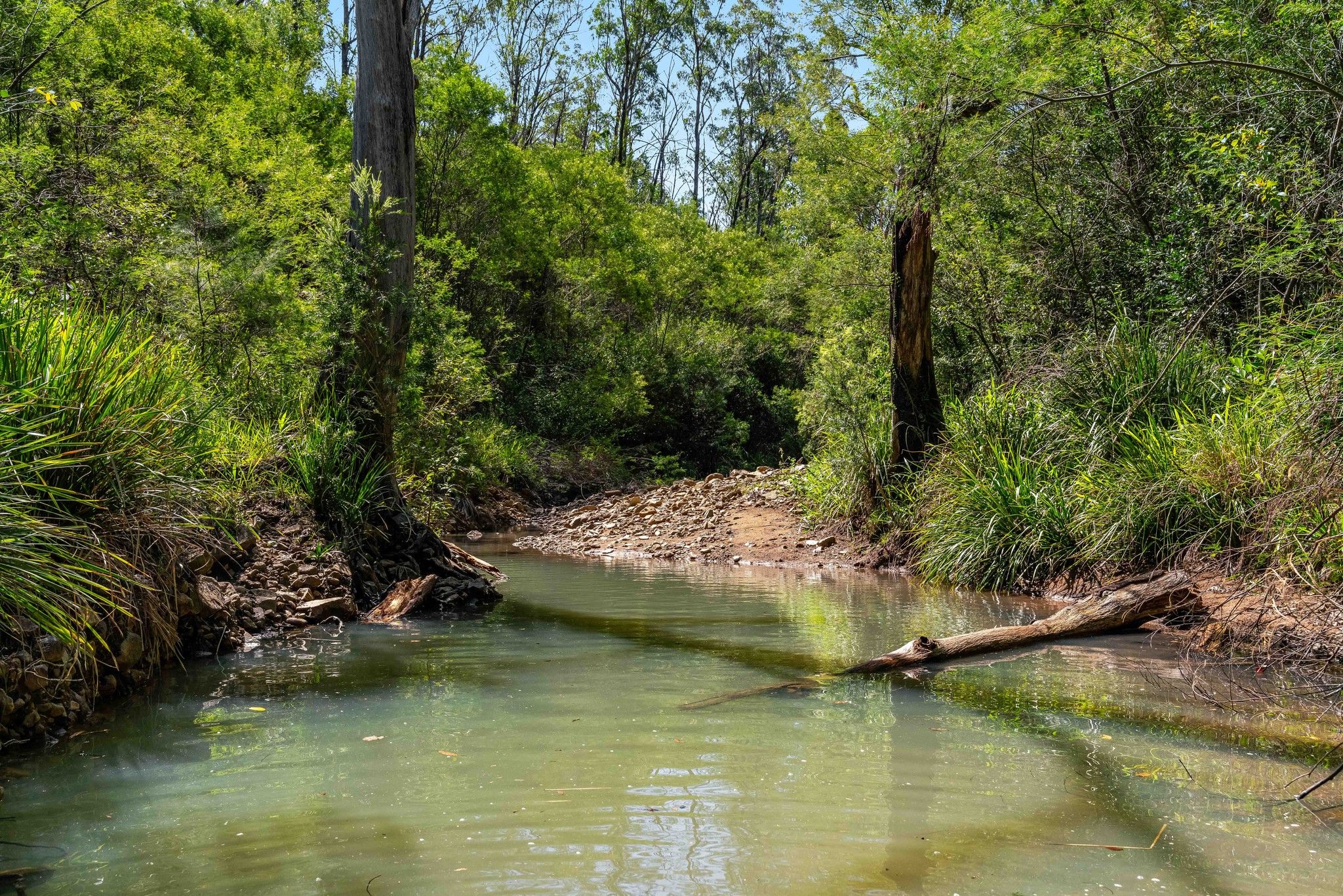 lot 8 Peckhams Road, Via Ewingar, Tabulam, NSW 2469