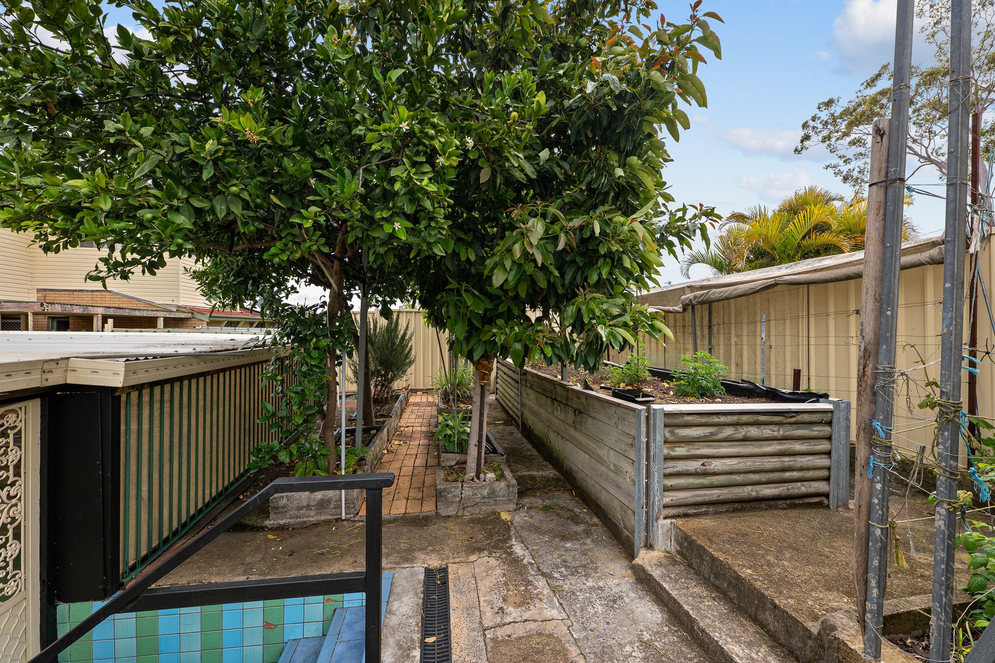 54 Adelaide Street — photo 25 of 30