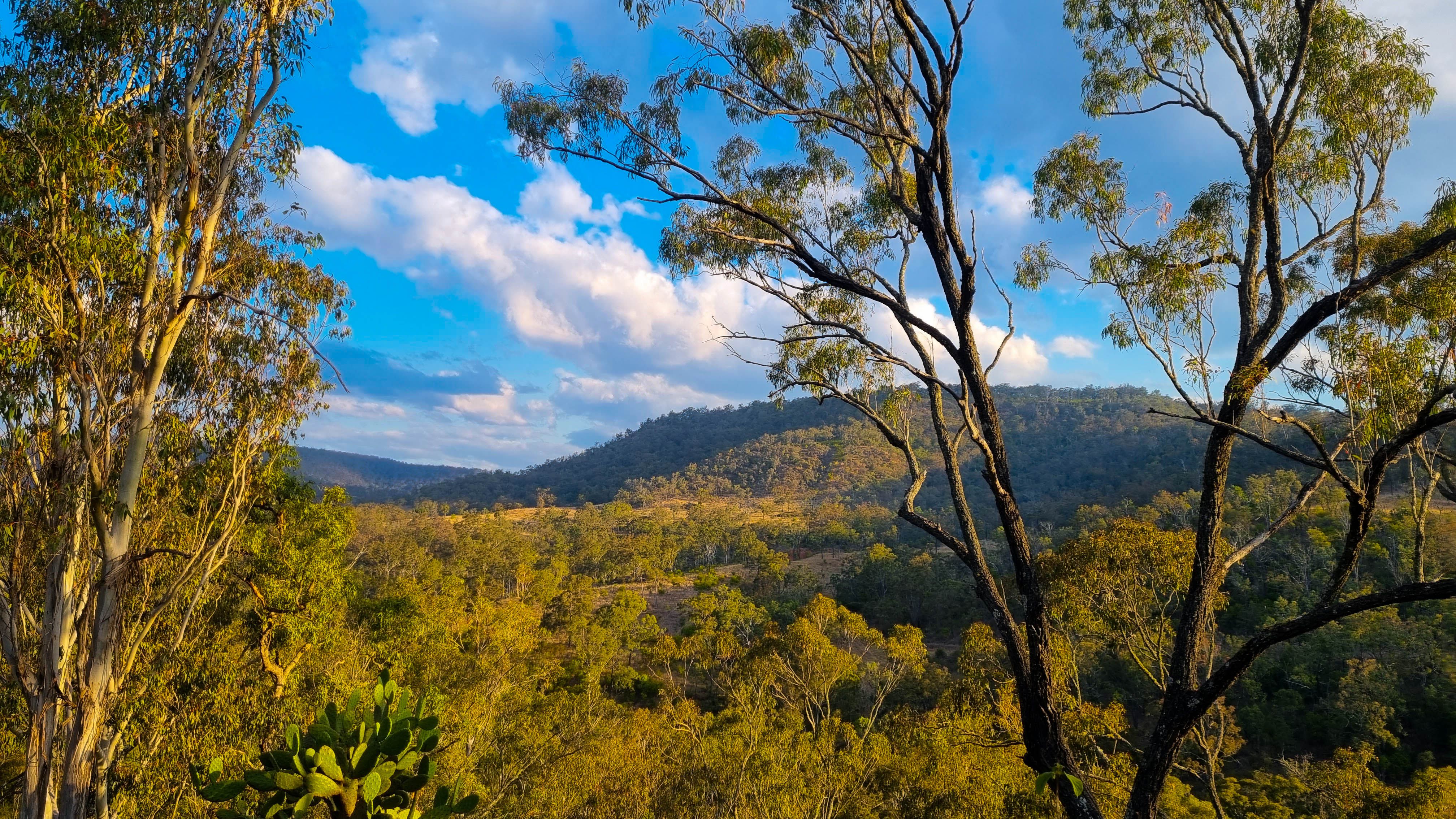 Lot 109 Davis Road, West Haldon, QLD 4359