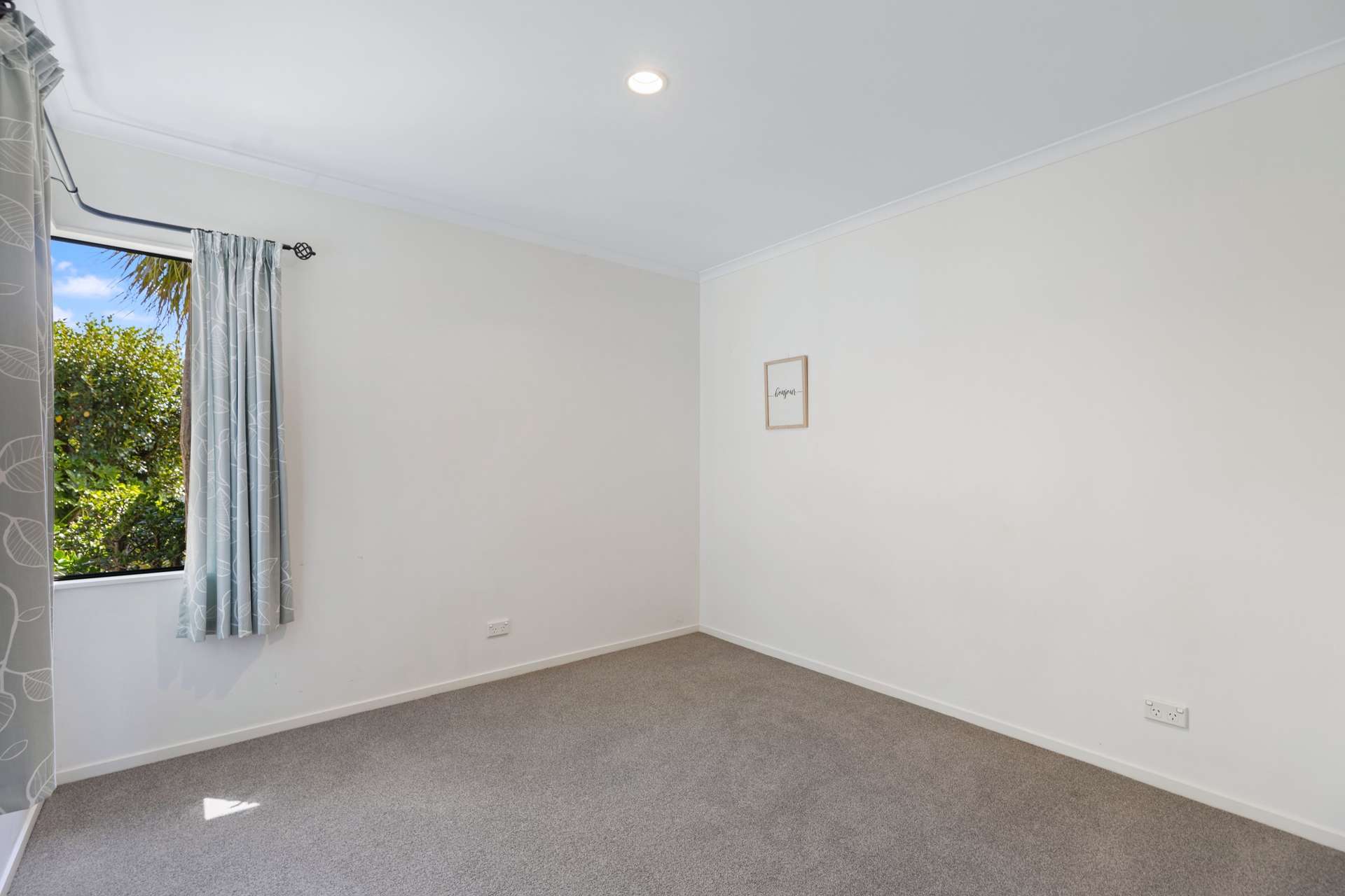 58 Pelorus Street photo 6