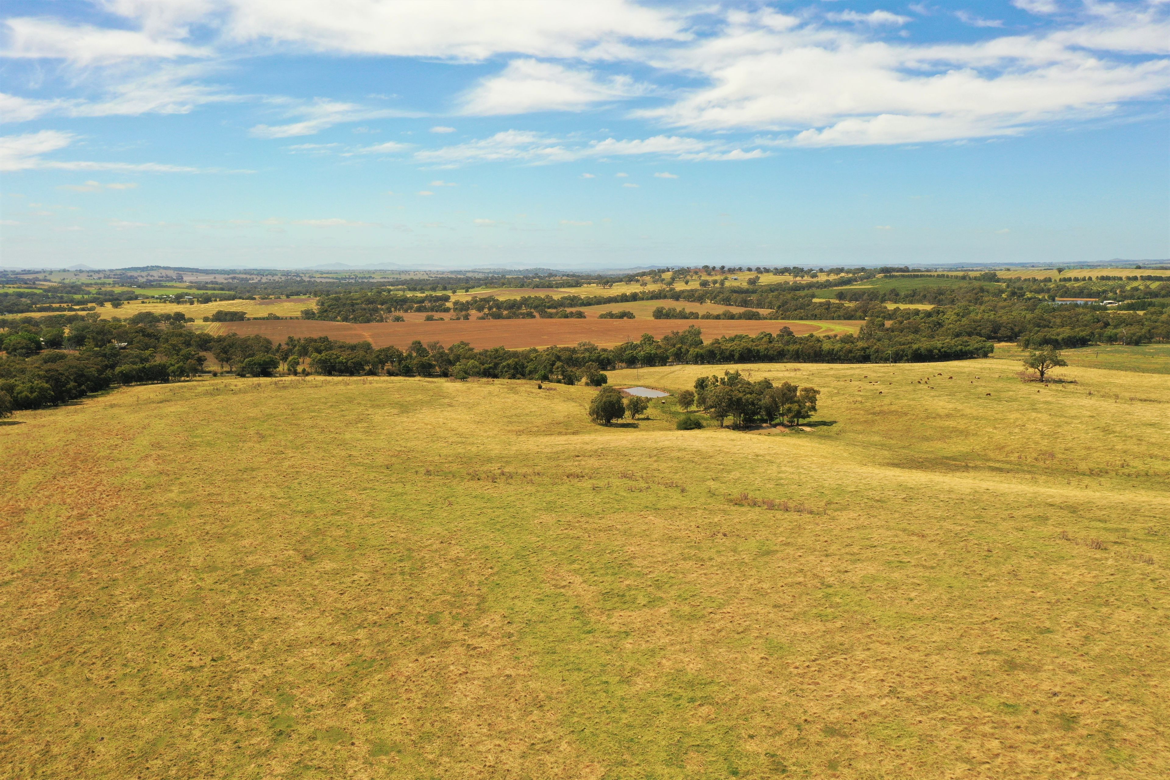 Lots 82, 83 & 84 Olympic Highway, Wombat, NSW 2587 Land for Sale