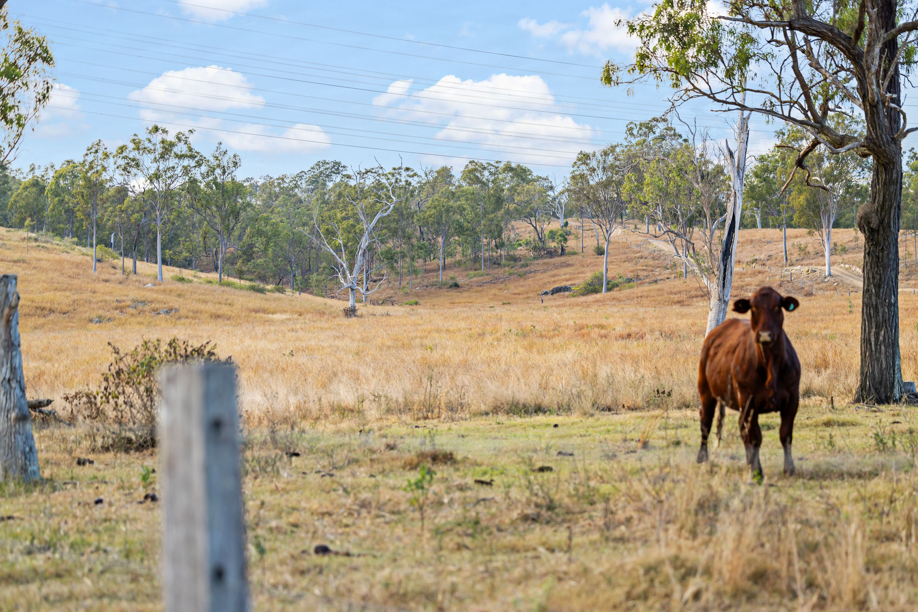 222 Tooloorum Road, Bryden QLD 4312