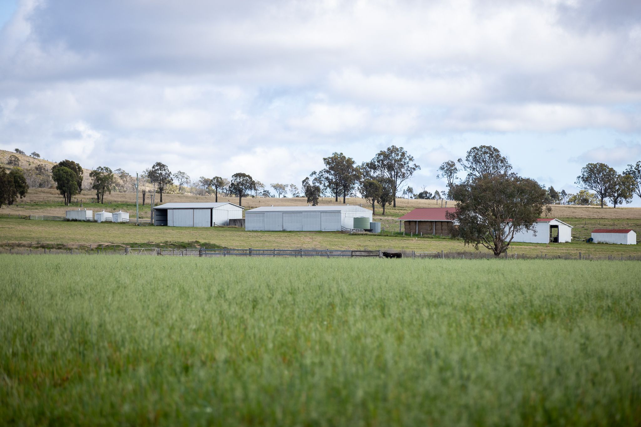 608 Mountain Maid Road, Greymare, QLD 4370 Sold Rural Property Ray