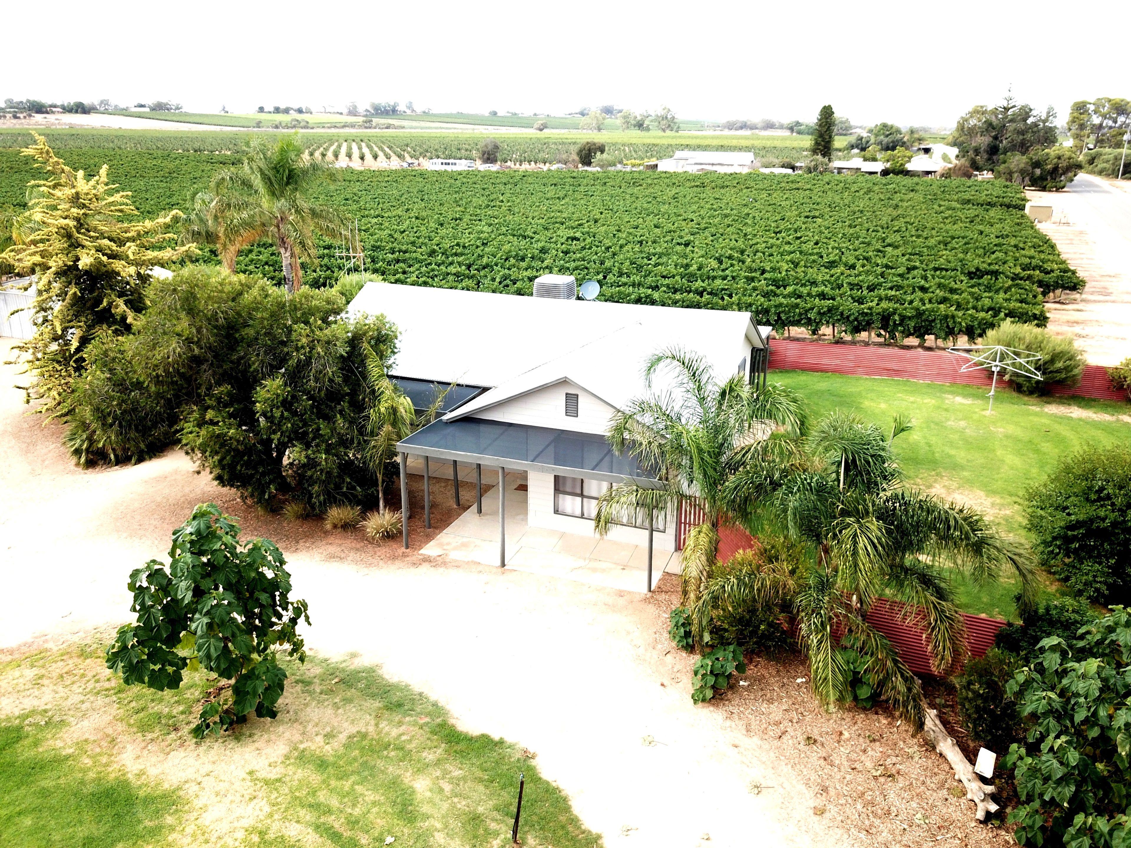 16990 Sturt Highway, Cobdogla, SA 5346