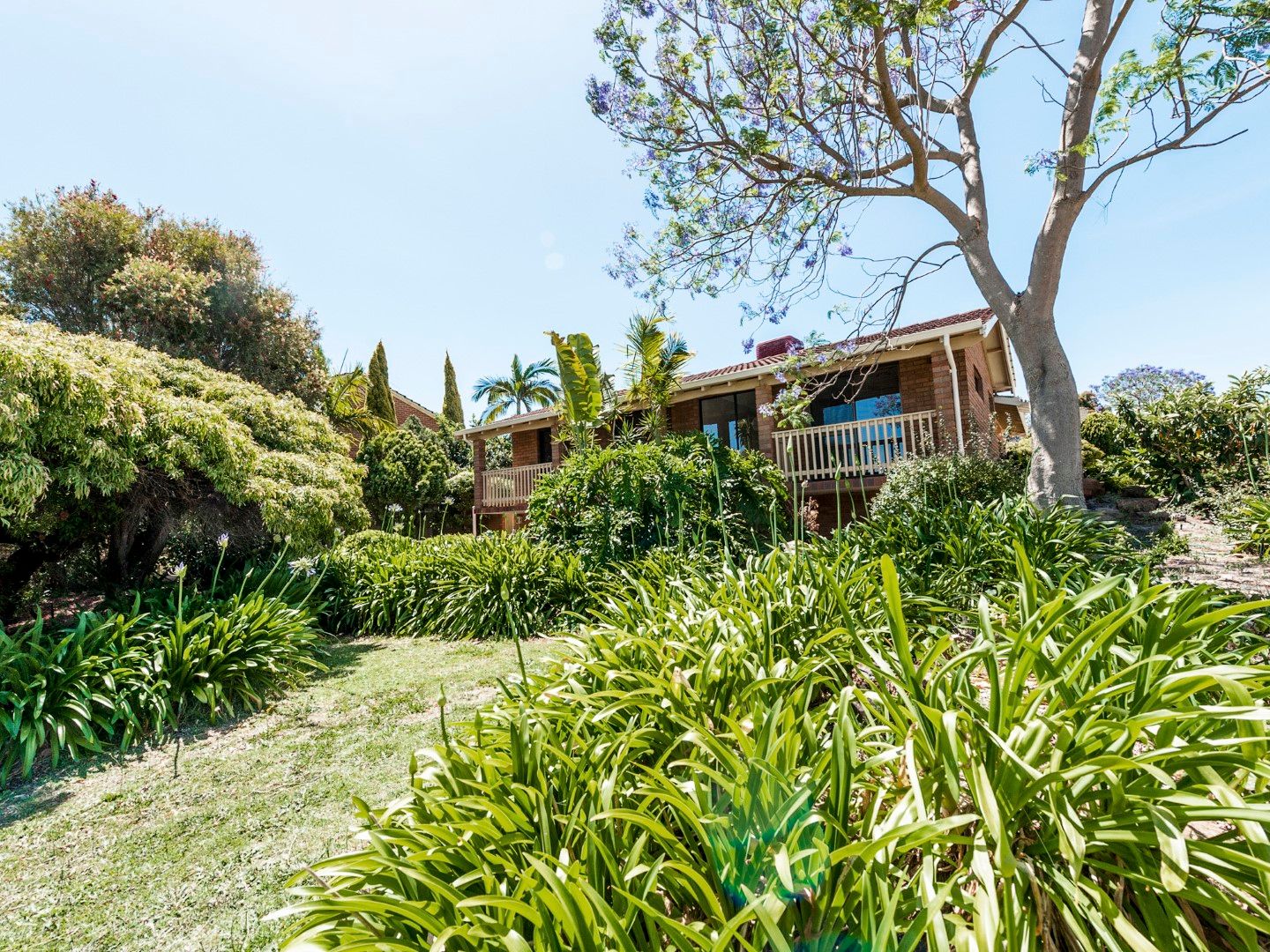 37 Bangalay Way, Dianella, WA 6059