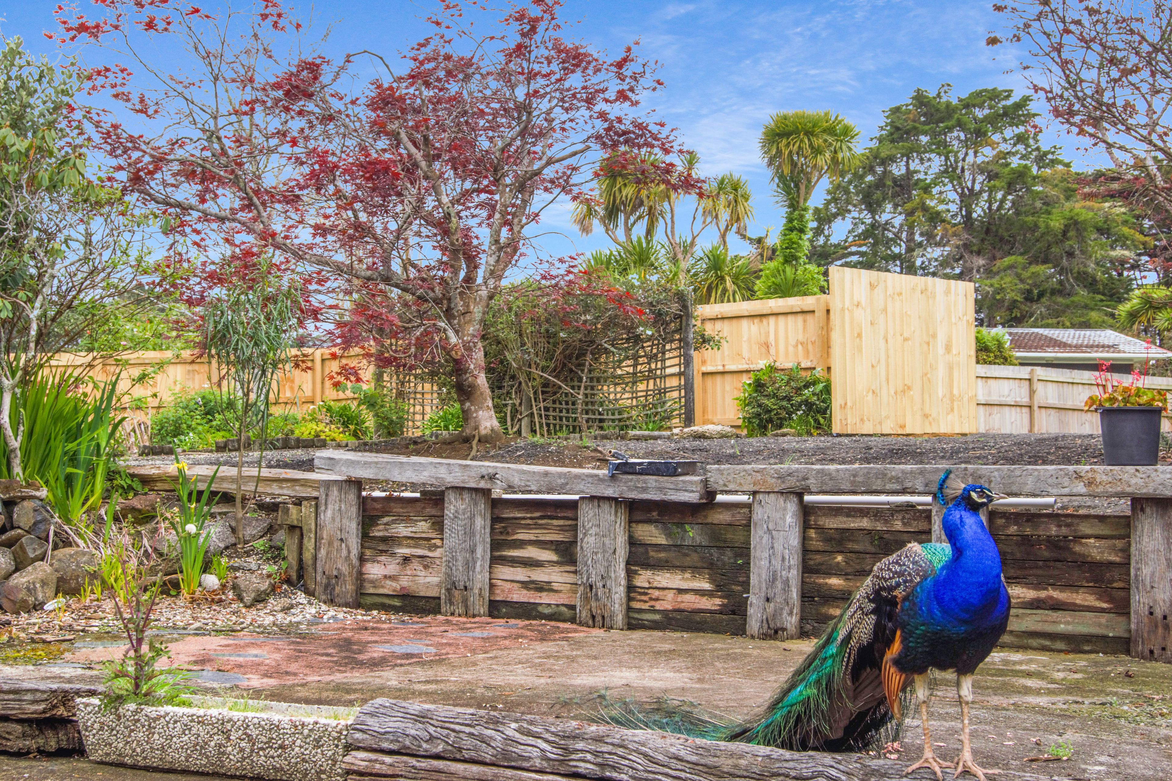 30 Tram Valley Road, Swanson, Waitakere City