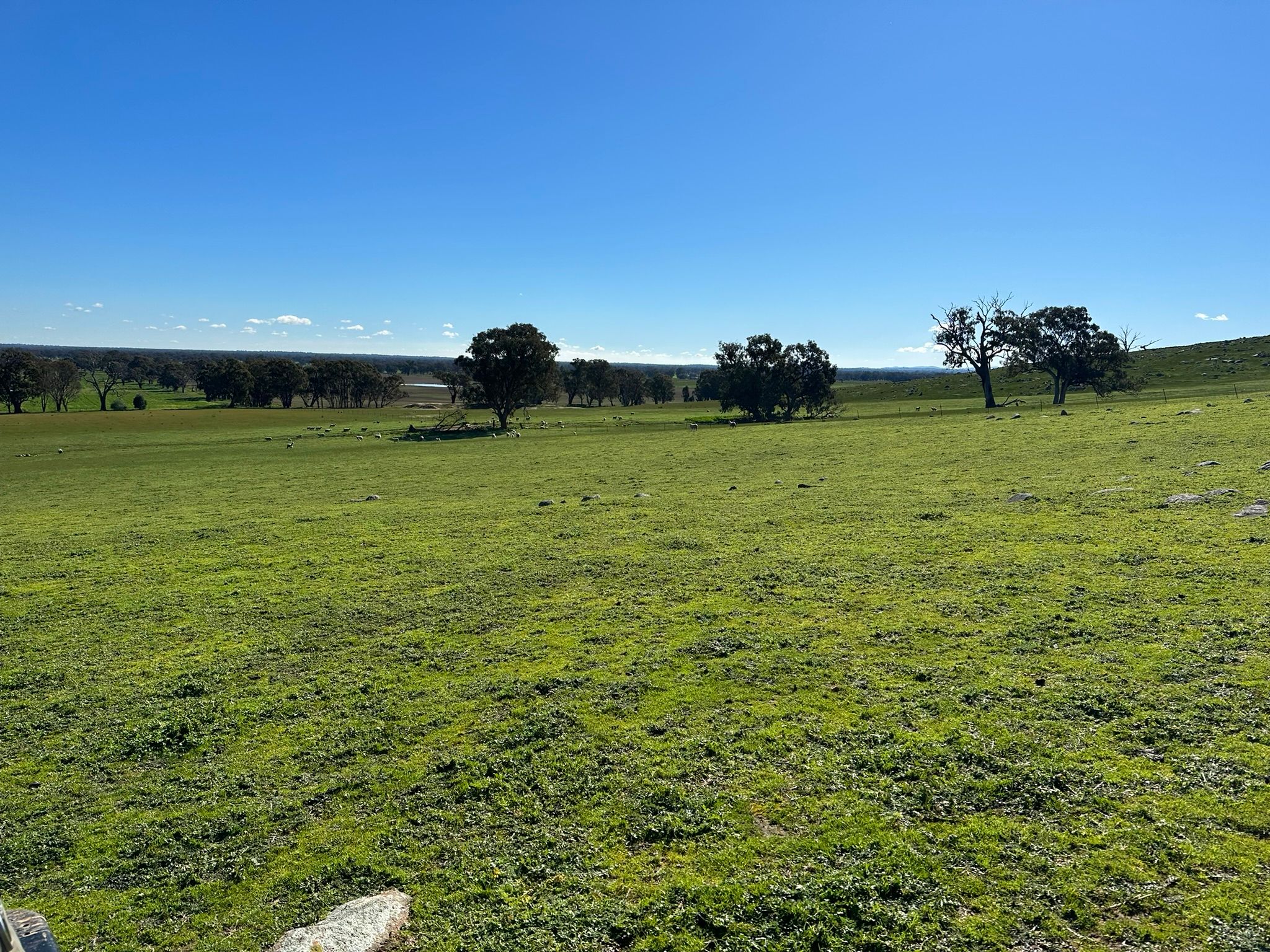 Corner of Horse Gully Road and Balmattum Road — photo 6 of 8
