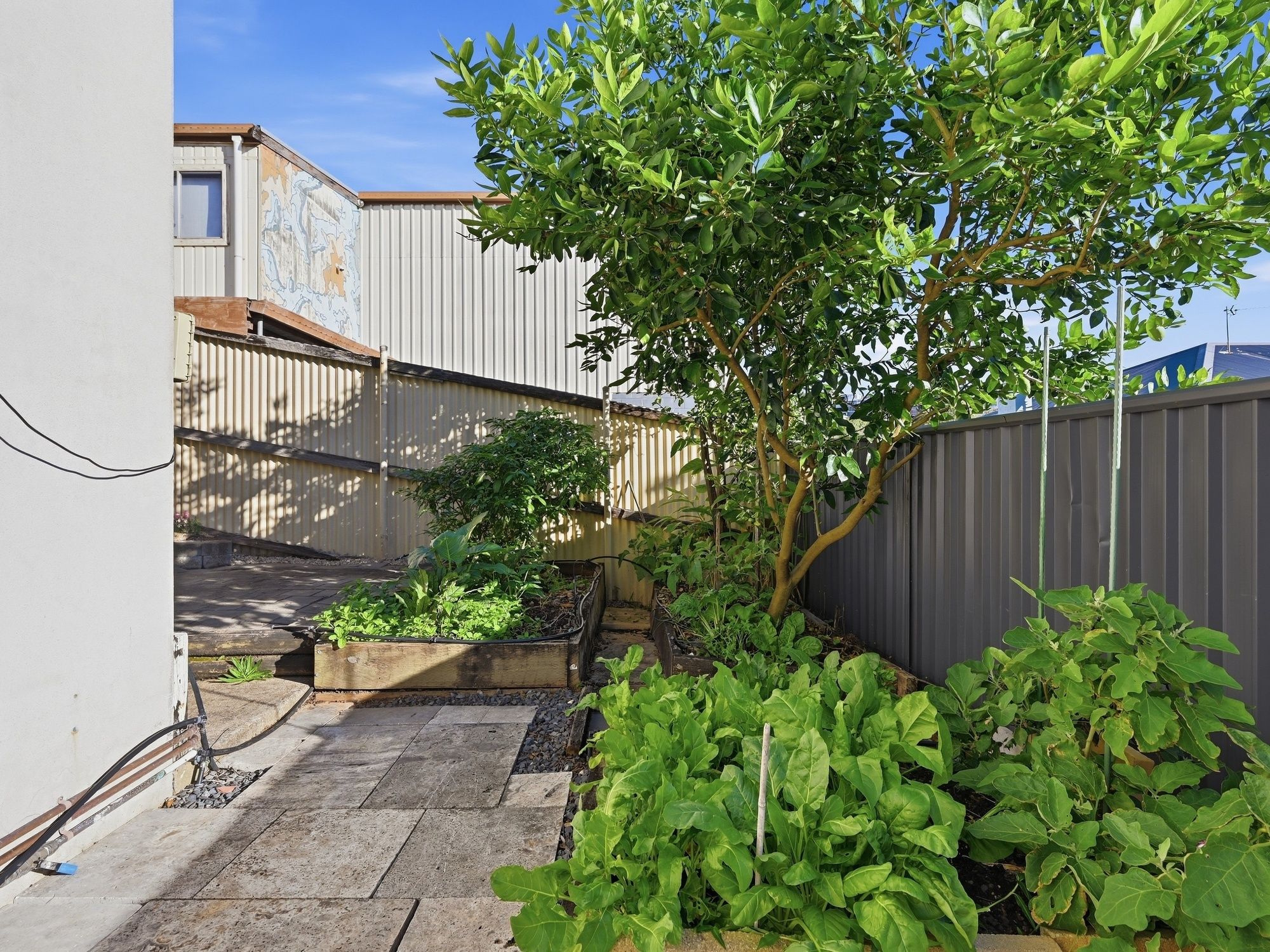 6/175 Edinburgh Street — photo 20 of 22