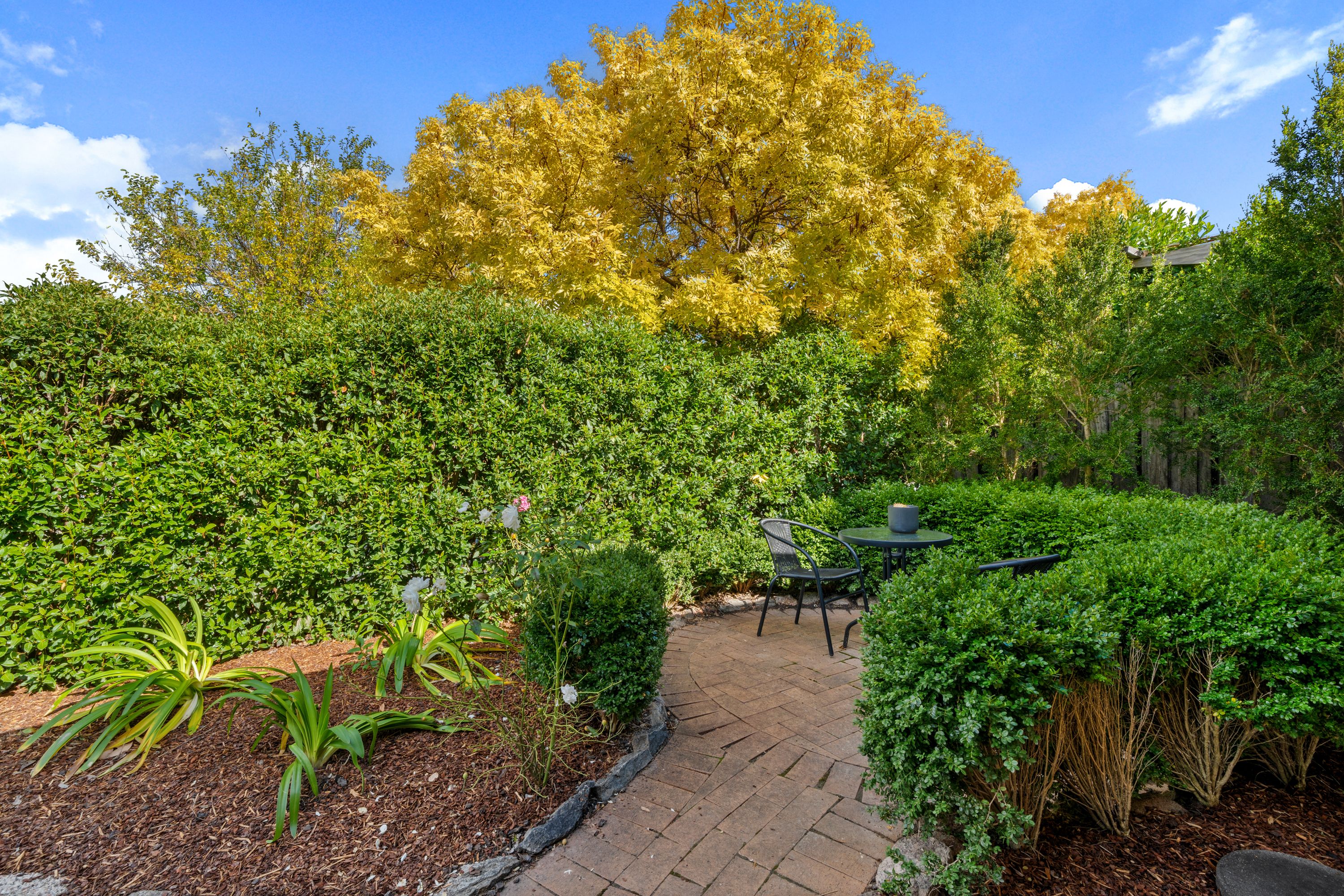 3 Sommers Street, Conder, ACT 2906