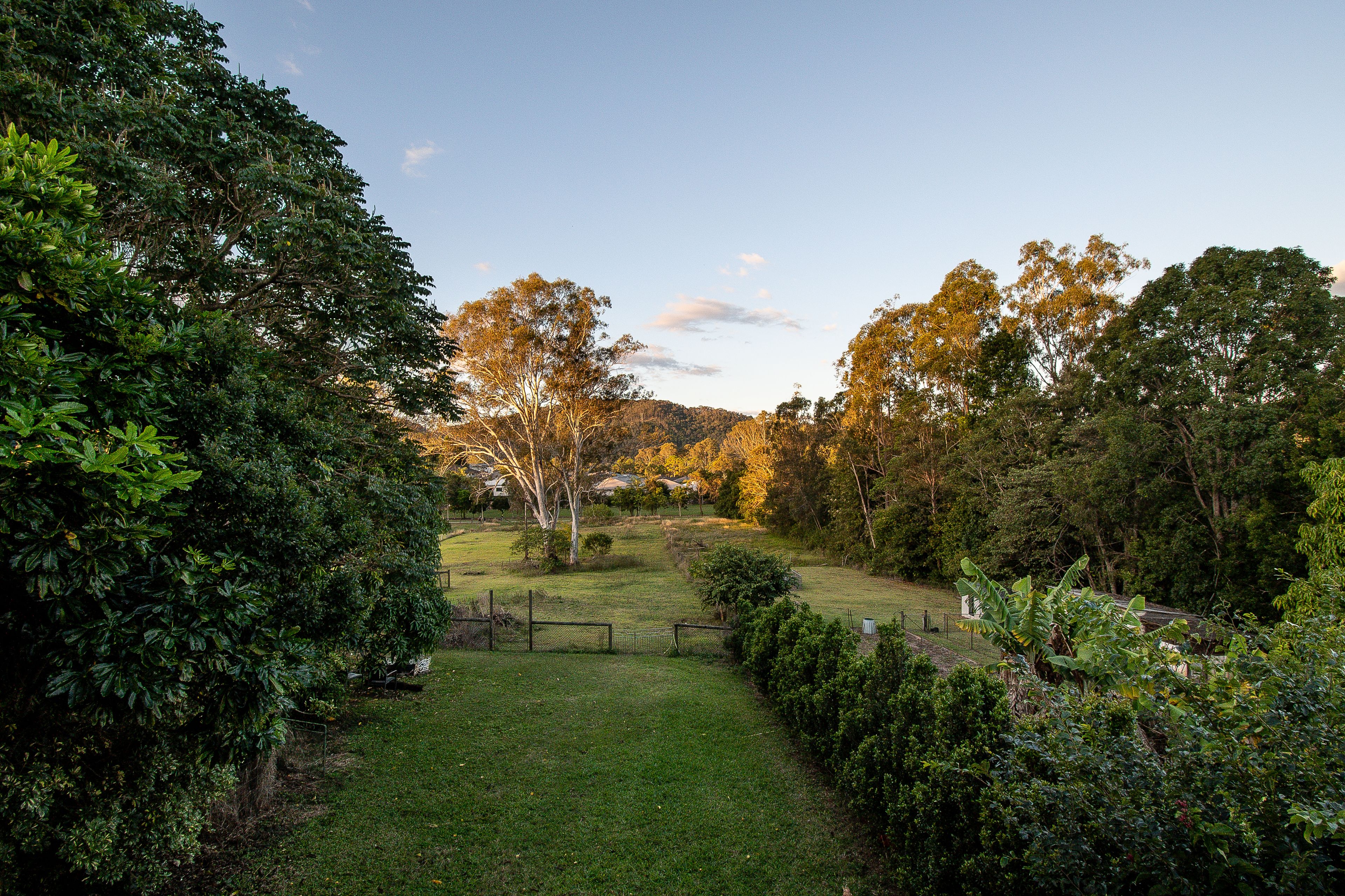 49 Mckenzie Street, Dayboro, QLD 4521 Sold House Ray White Rural