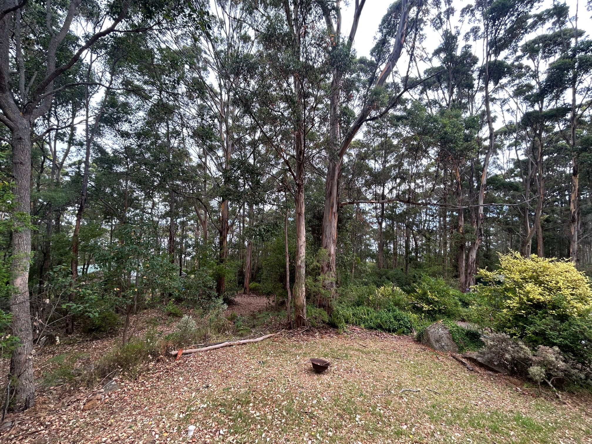 1 Payne Road, Denmark, WA 6333 Sold House Ray White Denmark