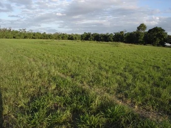 73 Richters Road, Winfield, QLD 4670