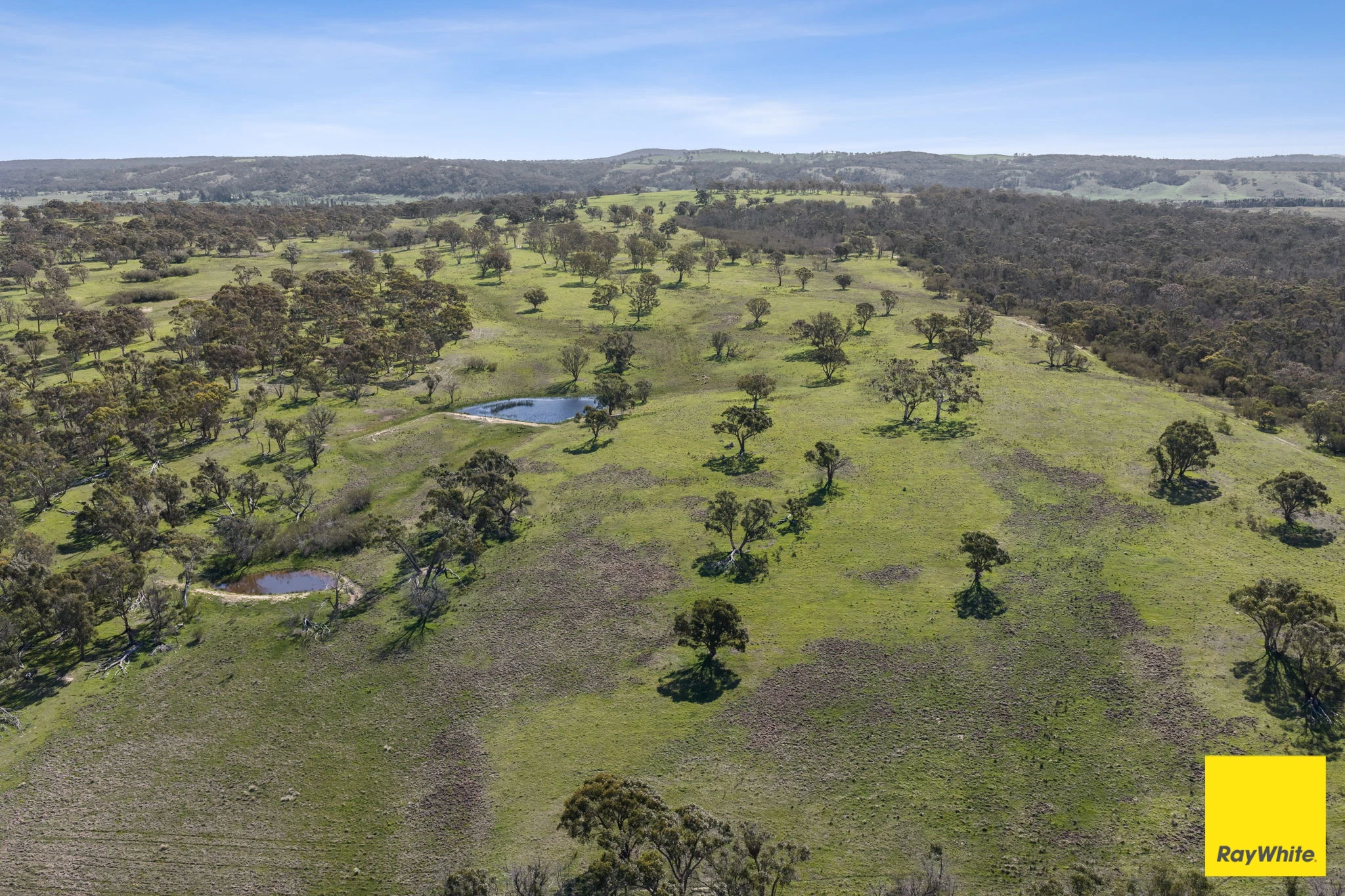 115 Goulburn Road, Mulloon, NSW 2622