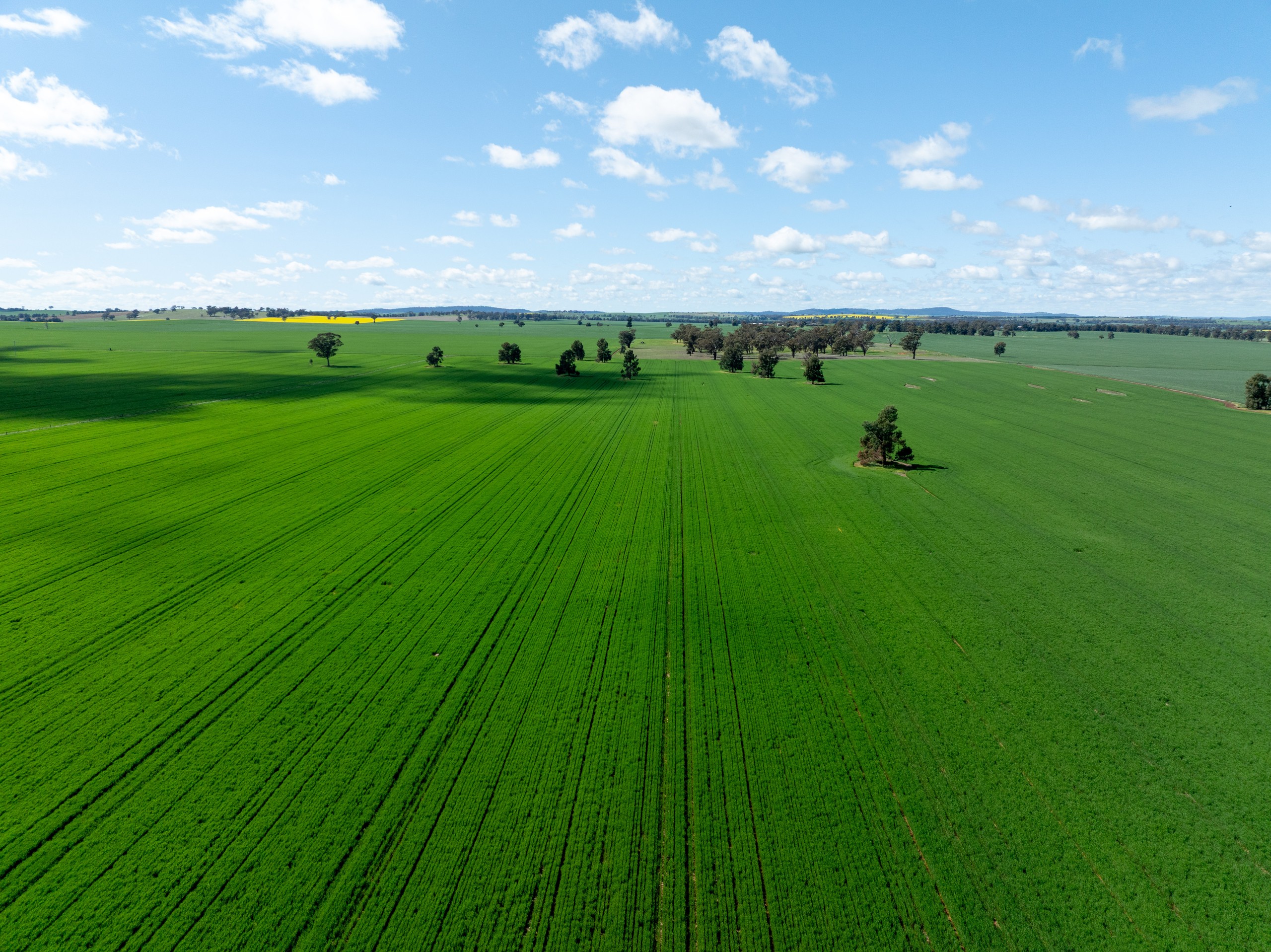 532 Cottee Road, Currawarna, NSW 2650