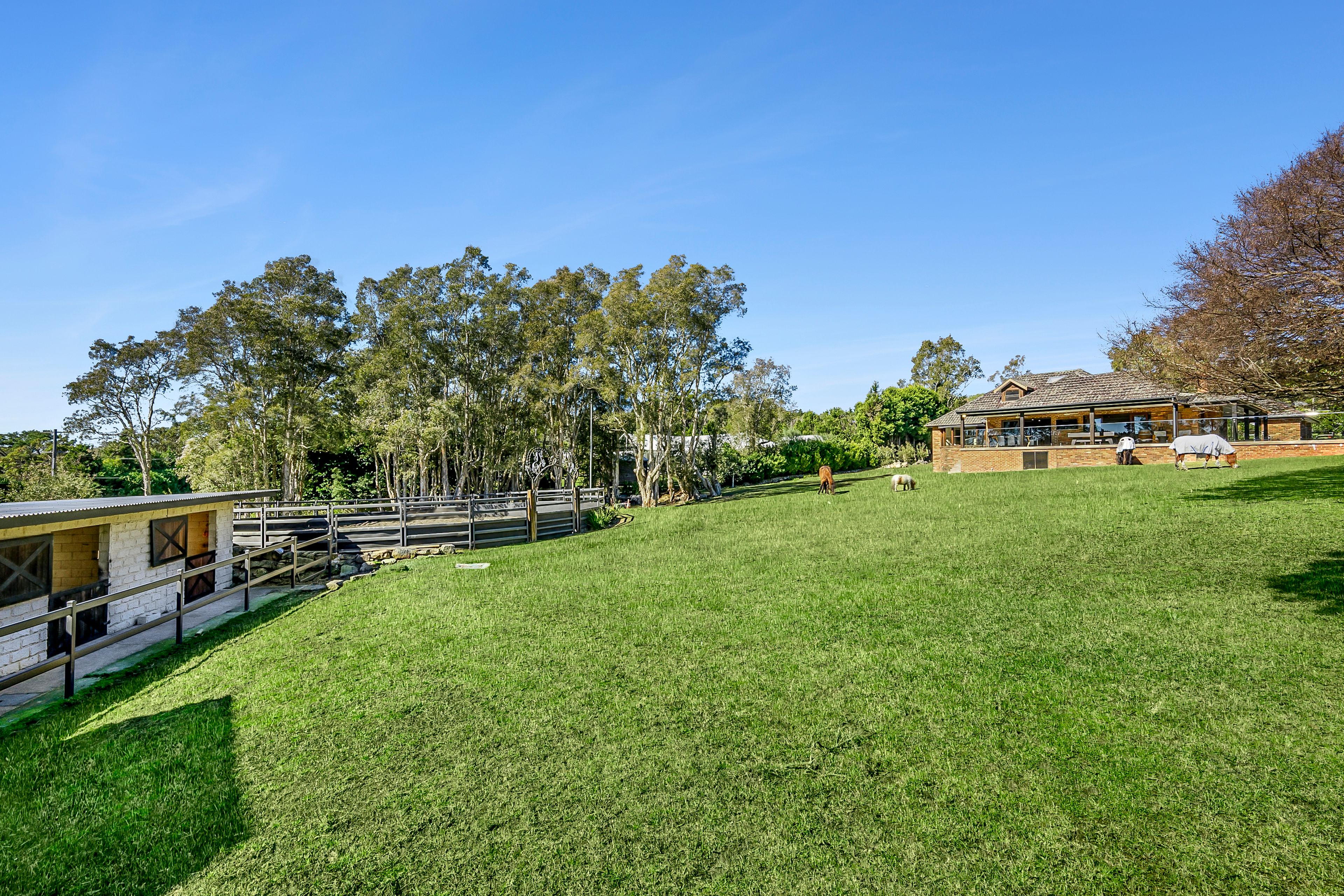Premium boutique acreage with a homestead and flat, fabulous equine facilities, rolling near-level lawns and a paddock — photo 7 of 18