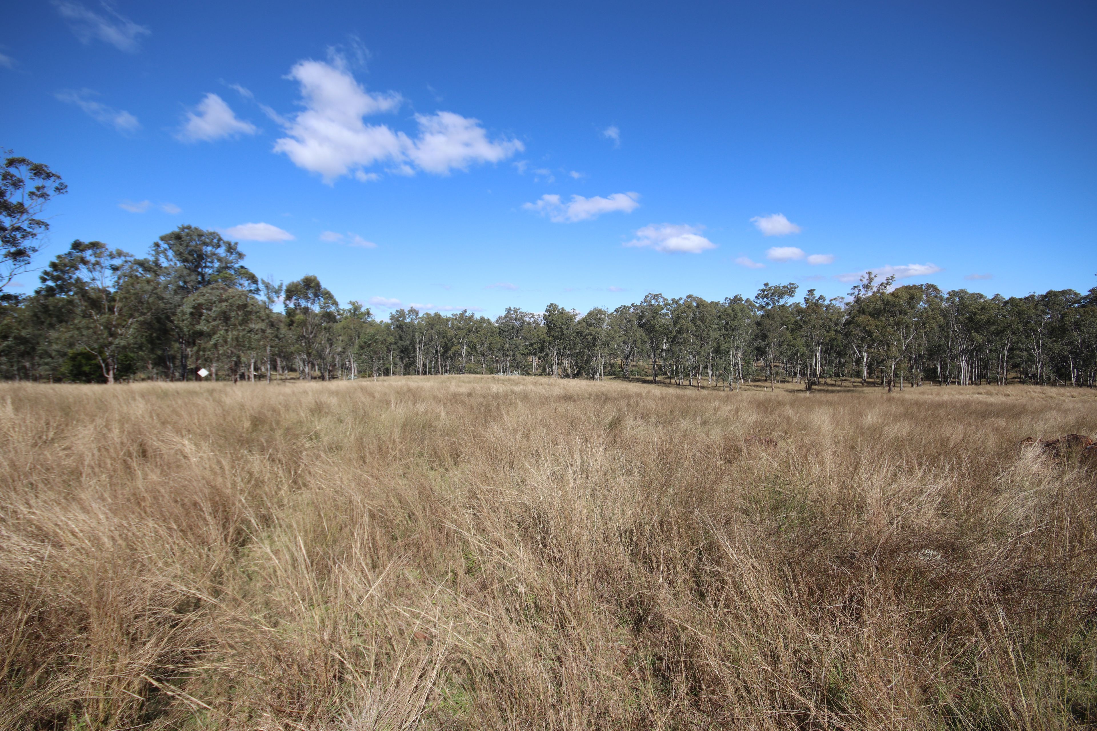 Lots 3, 11 & N Monogorilby Road — photo from Ray White Mundubbera