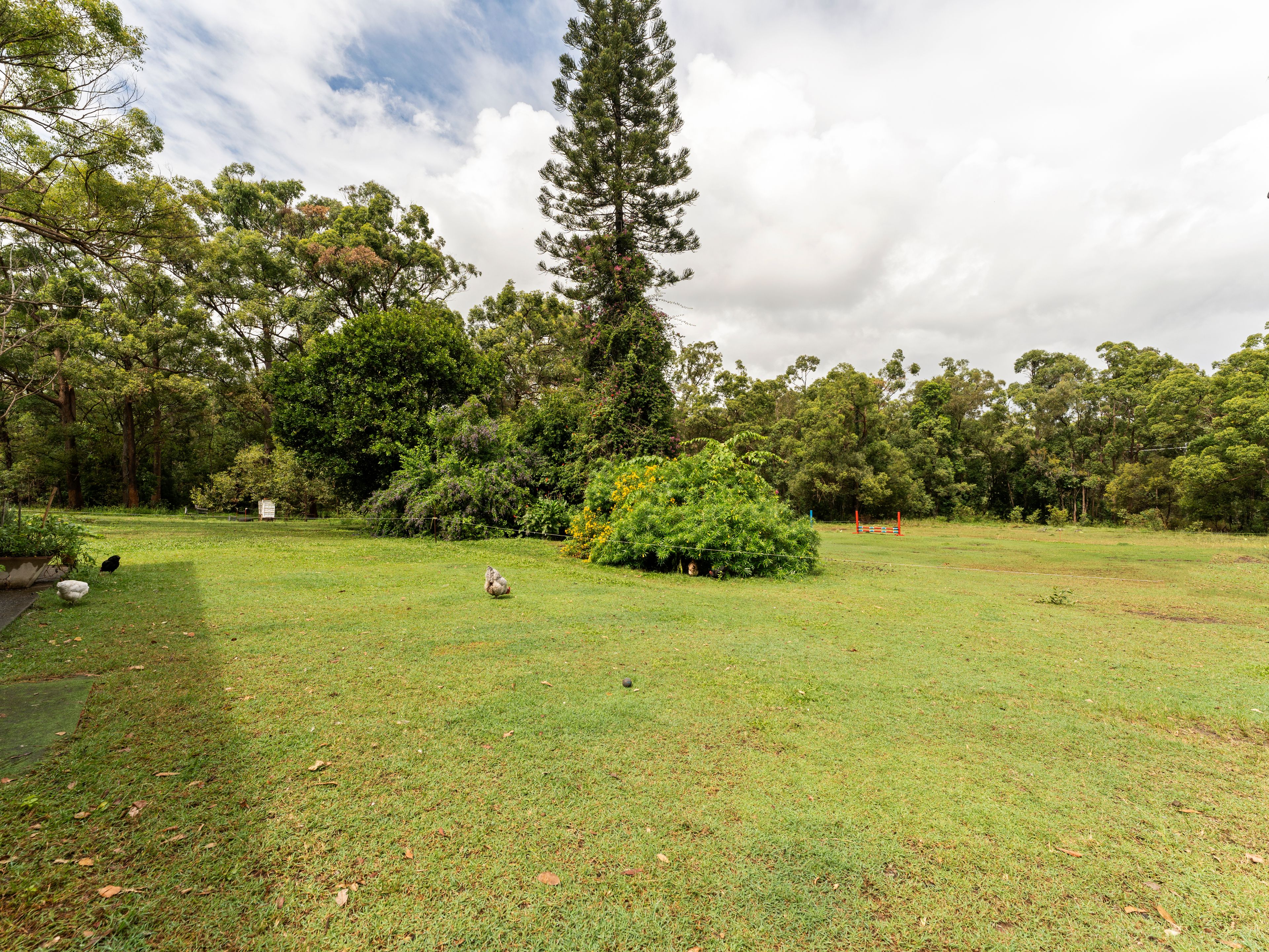 82 Grieve Road, Rochedale, QLD 4123
