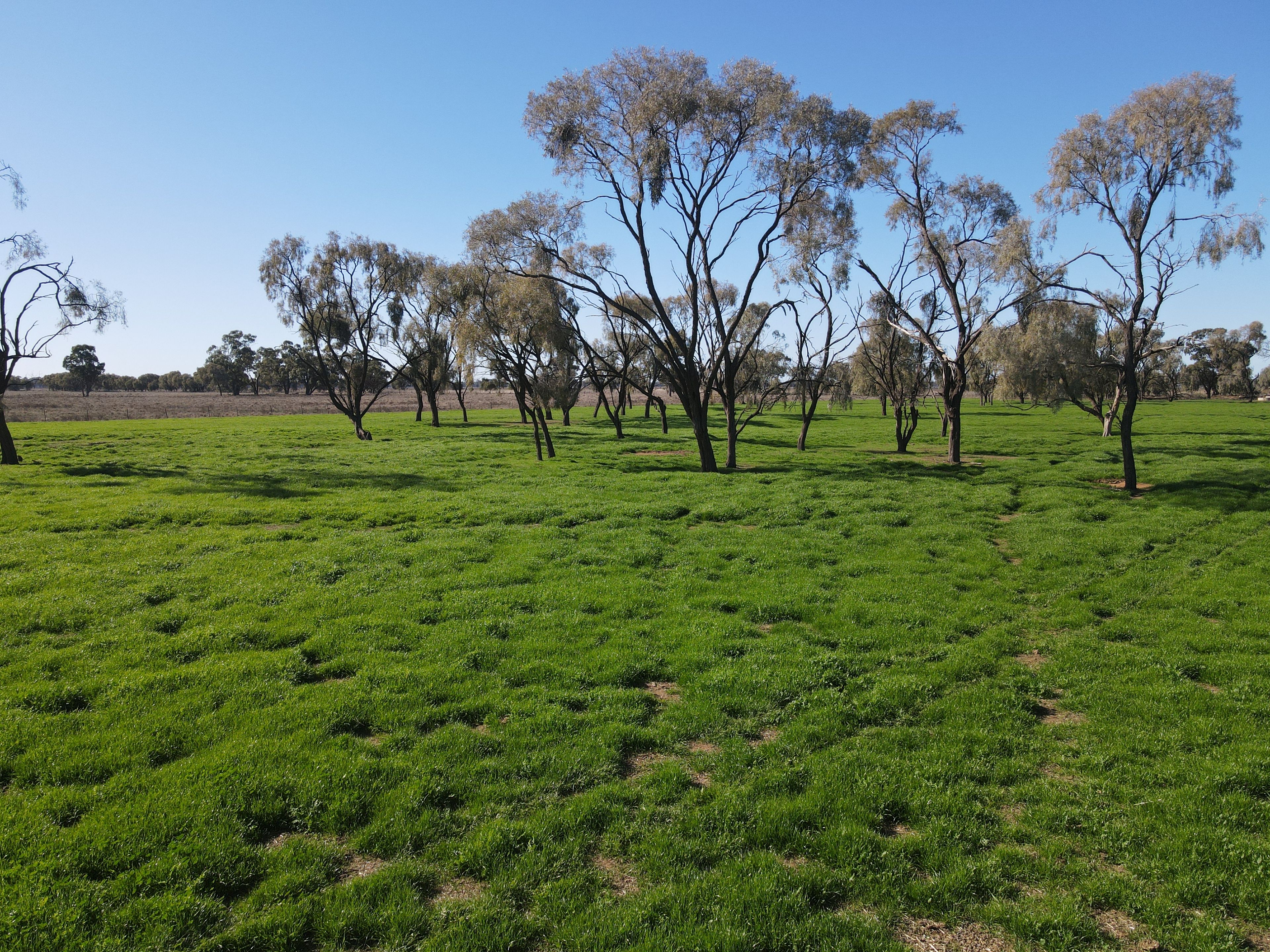 4841 Bedgerabong Road, Warroo, NSW 2871