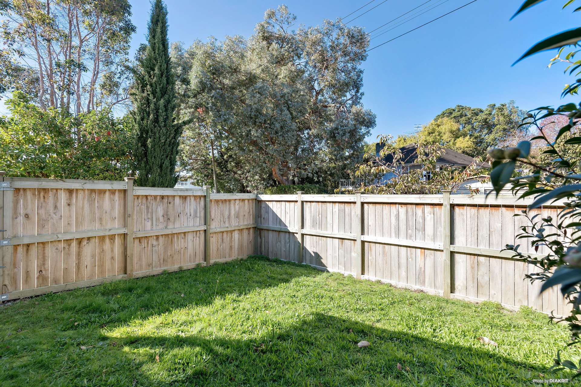 1/5 Troy Place photo 15