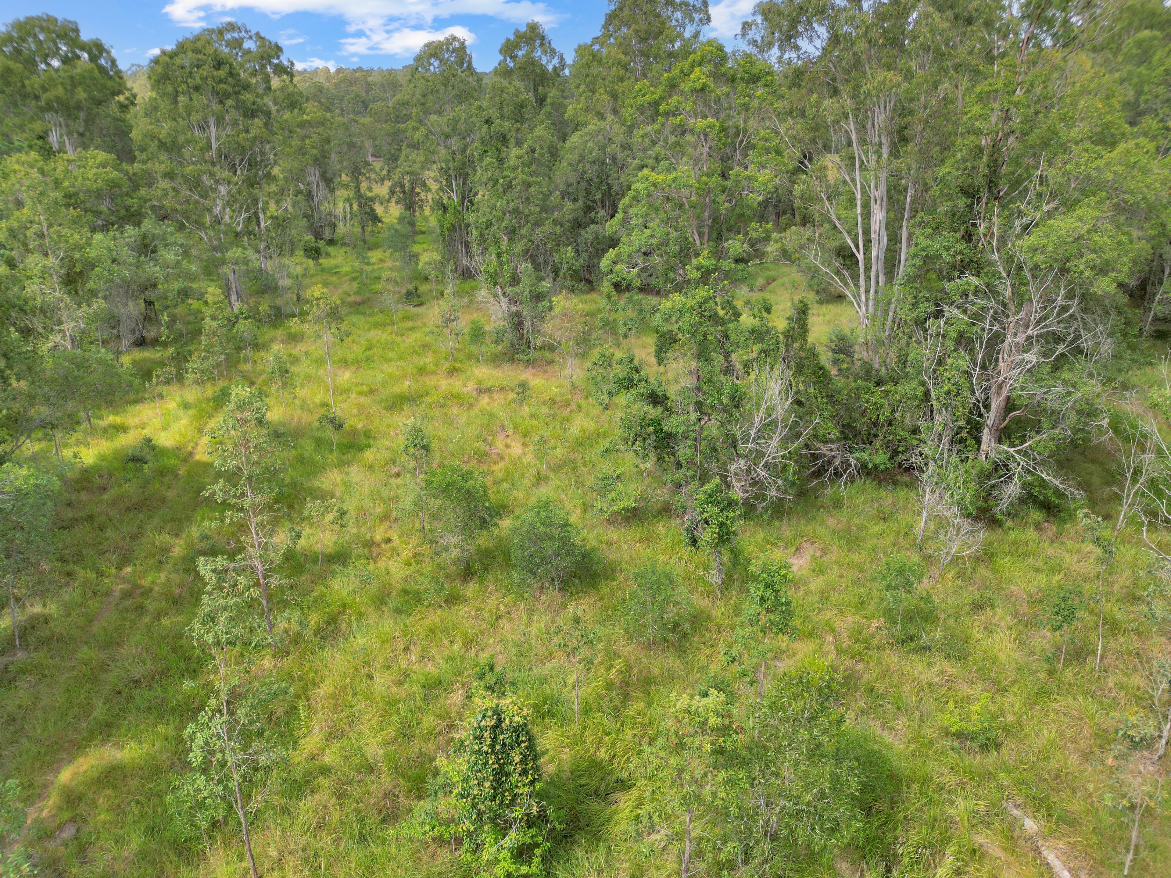 Lot 145 Ellangowan Myrtle Creek Road Ellangowan Via — photo 3 of 11