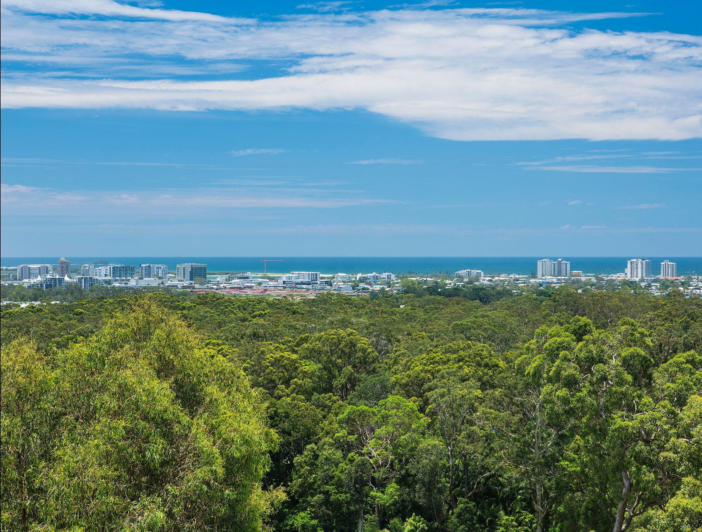 16 Mayfair Lane, Buderim QLD 4556