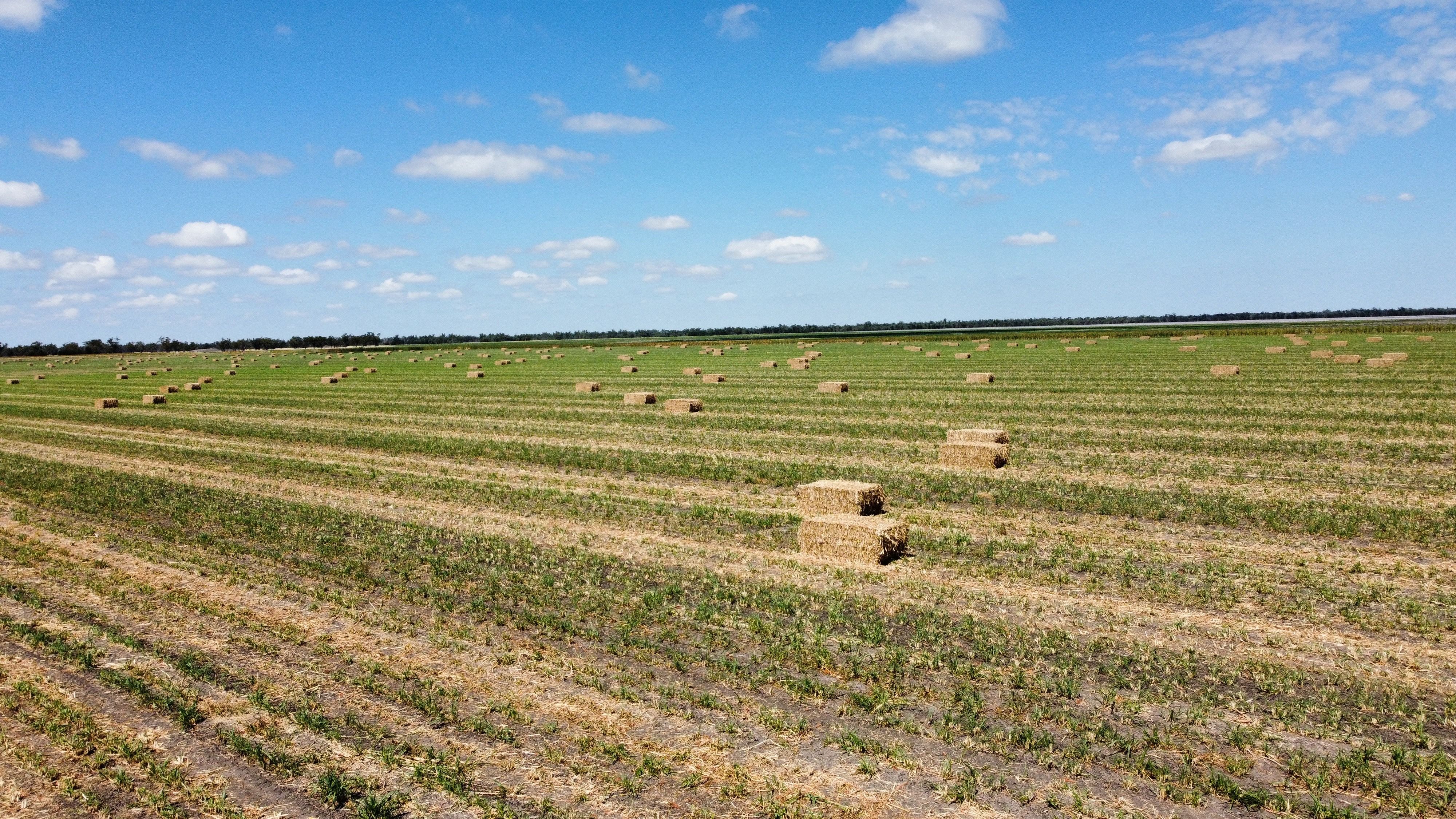 189 Minnel Road, Toobeah, QLD 4498