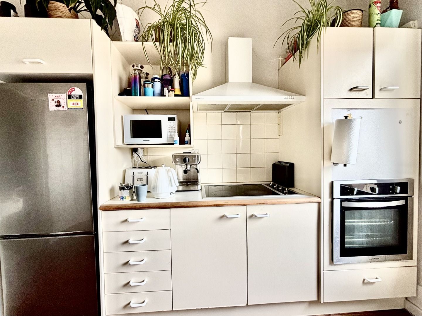 1 Exler Place, Avondale, Auckland City