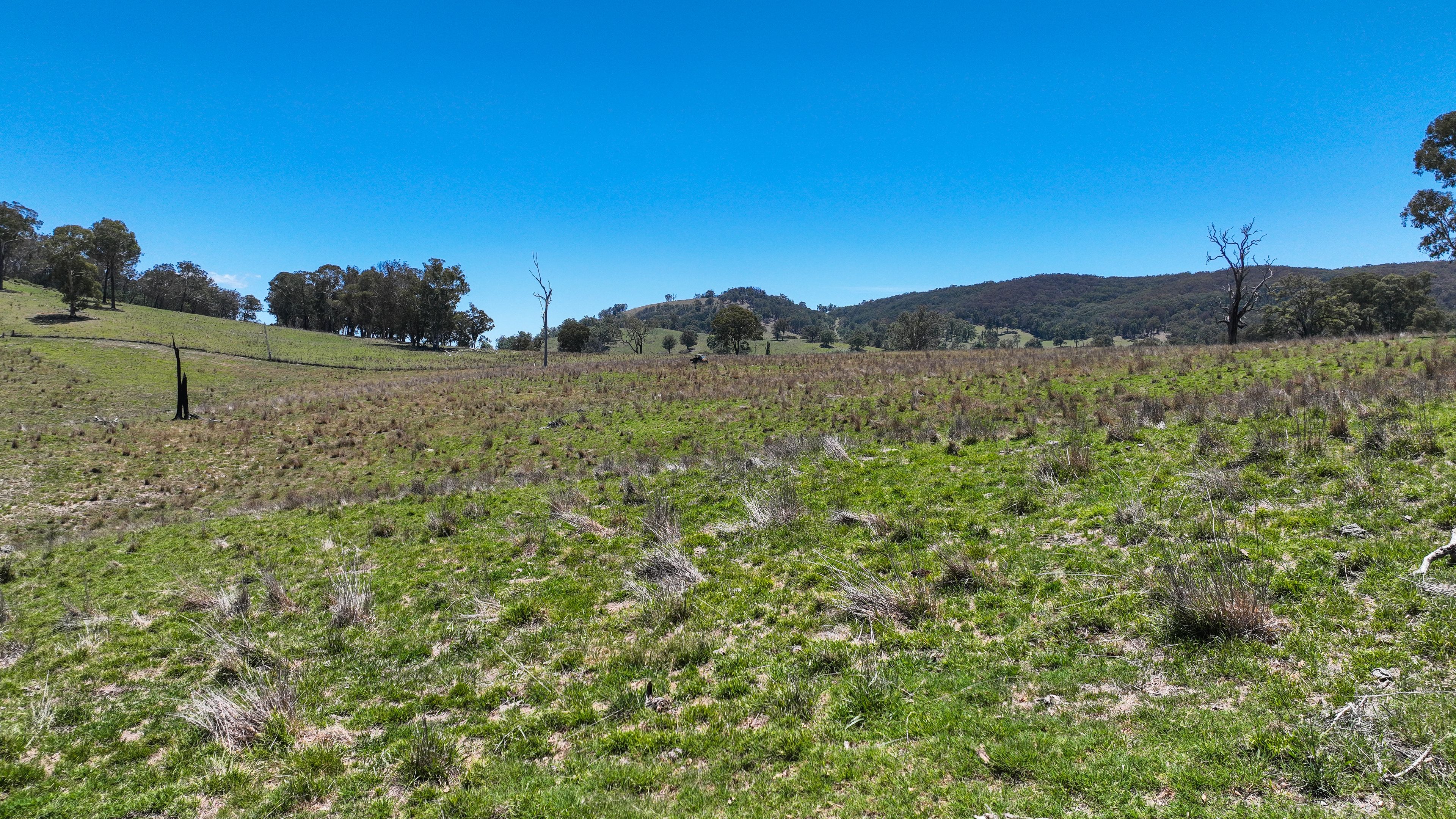 10 Nowendoc Road, Ogunbil, NSW 2340 Rural Property for Sale Ray