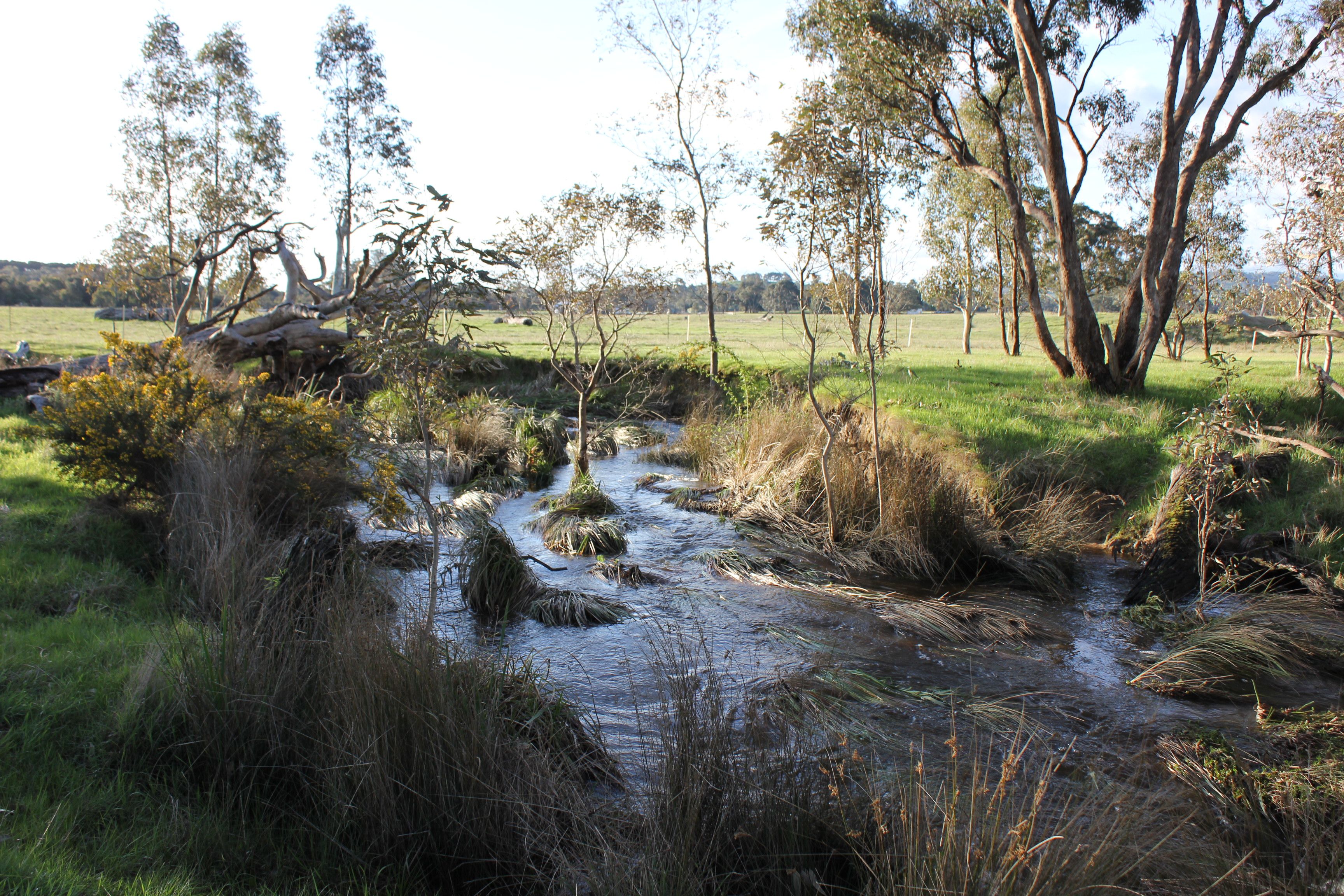 Lot 46 & 47 Pollards Road, ELPHINSTONE, VIC 3448