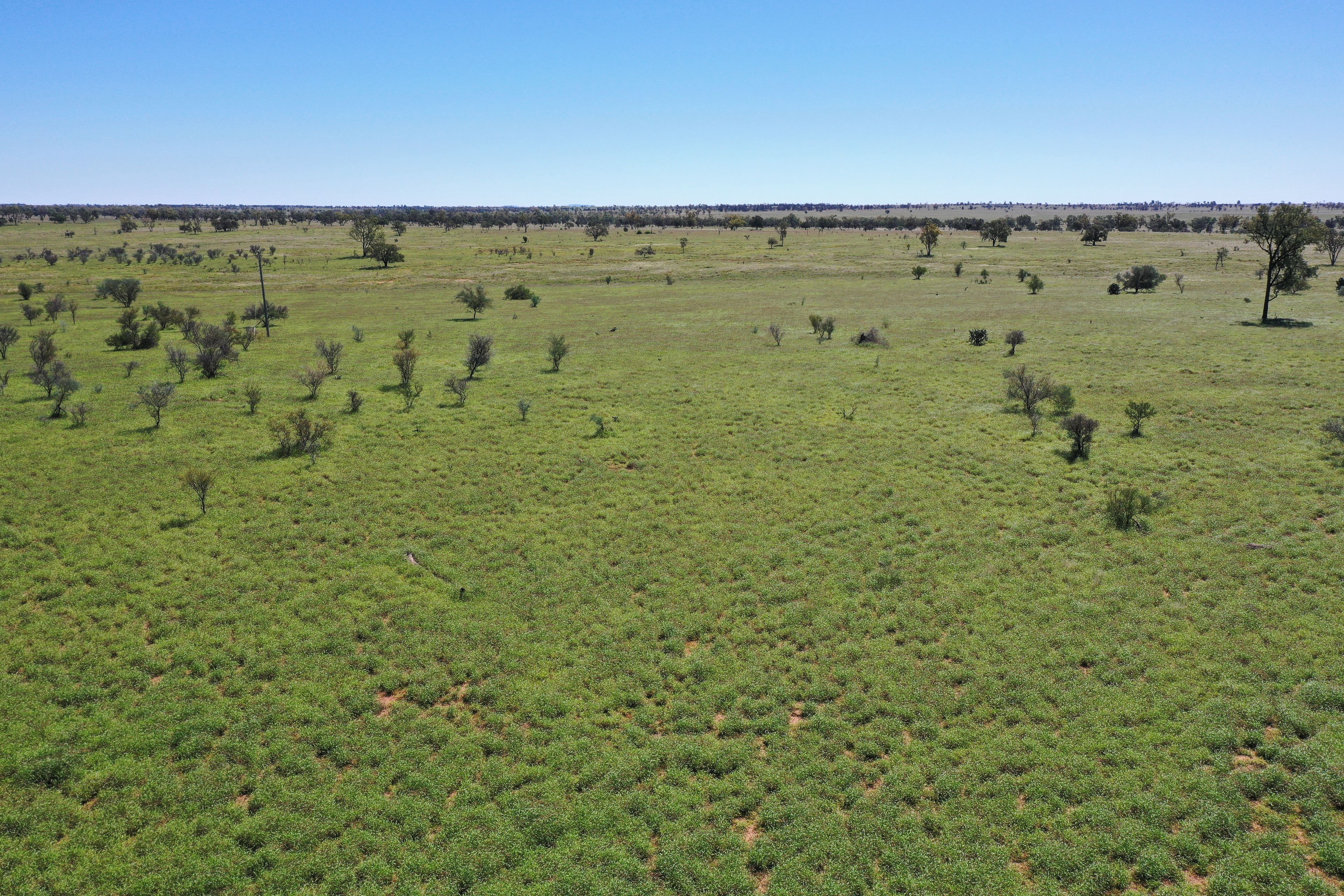 205 Redbank Road, Roma, QLD 4455